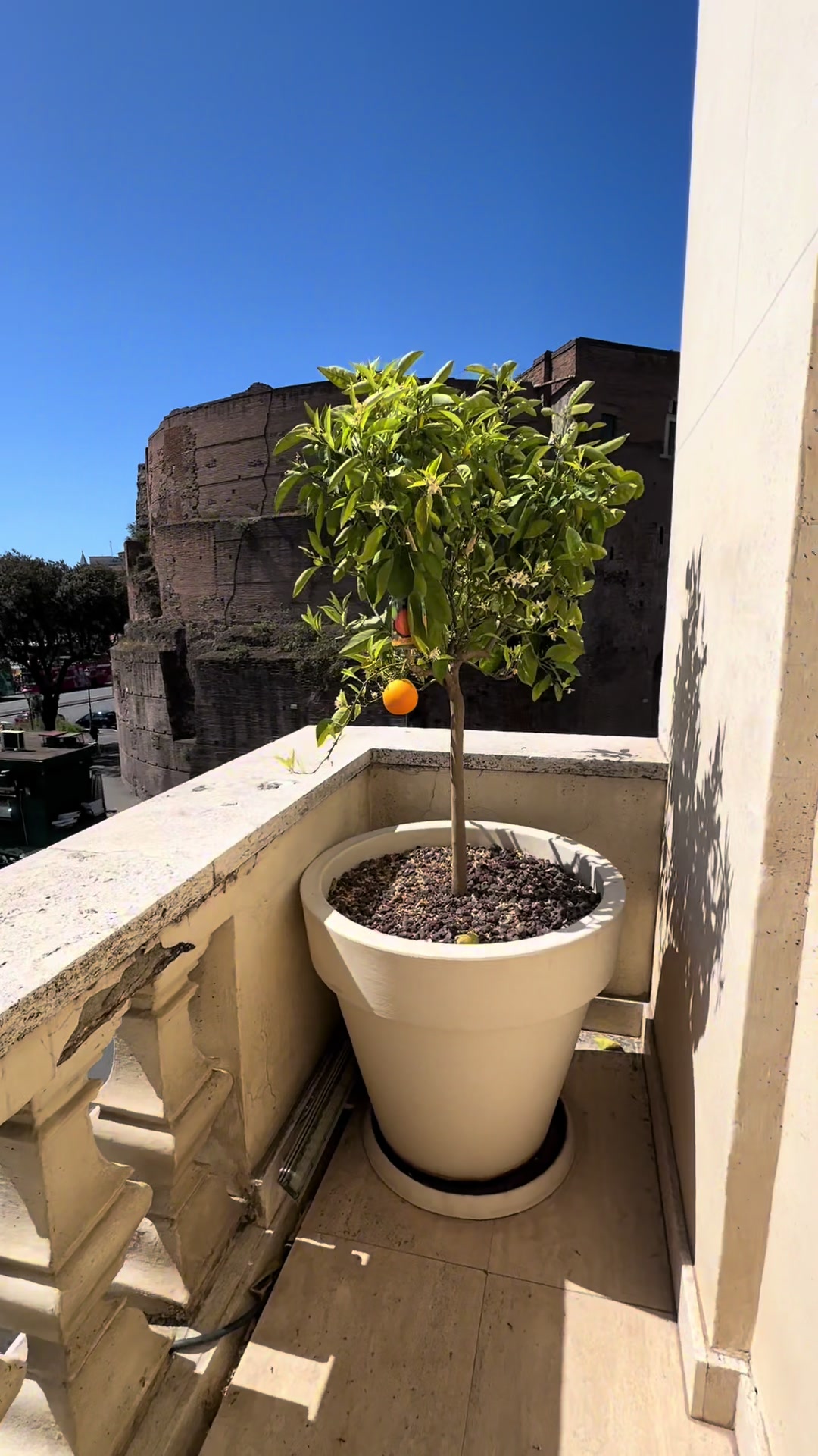 I miss this hotel 🥹

#Rome2022 #PalazzoMontemartini #ItalyHotel