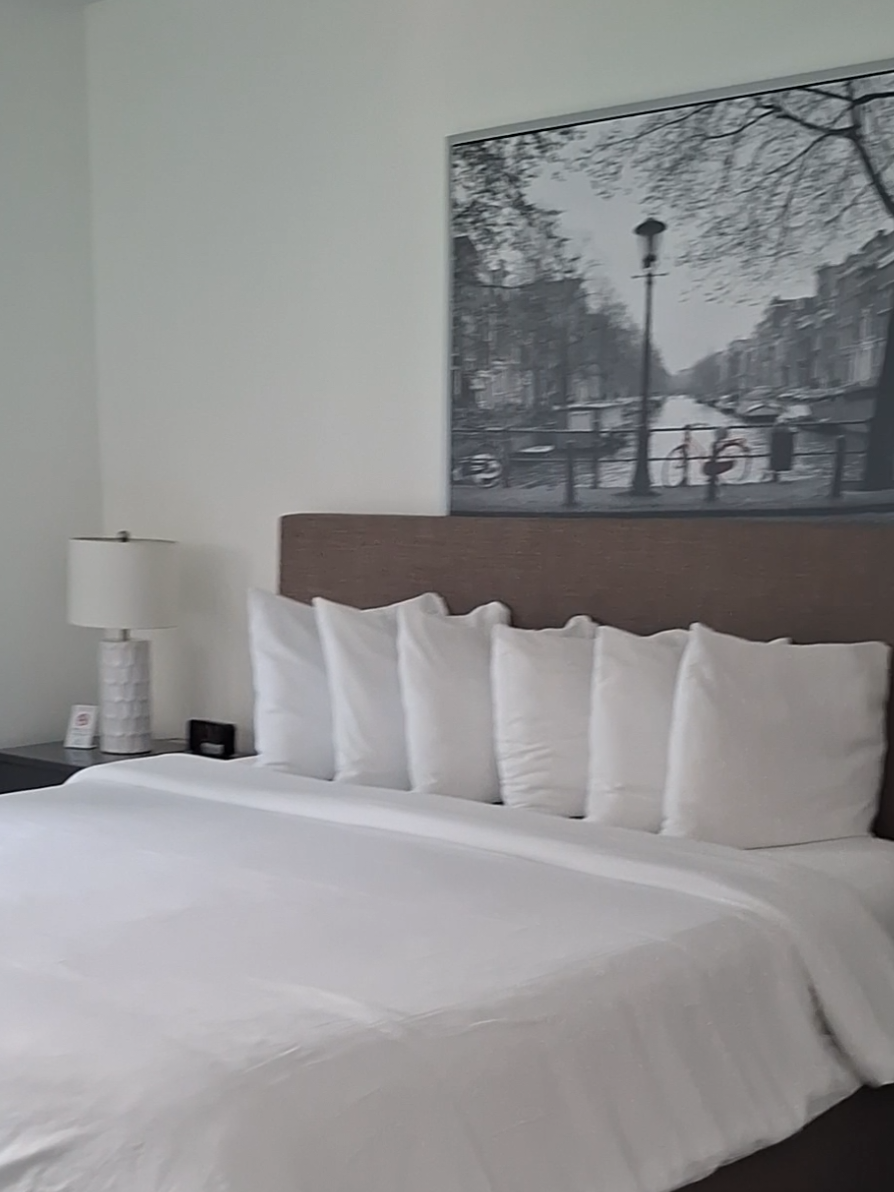 Hotel Appreciation post! Fortune House ❤️ 
 #fortunehotel #brickellmiami #miami #fyp