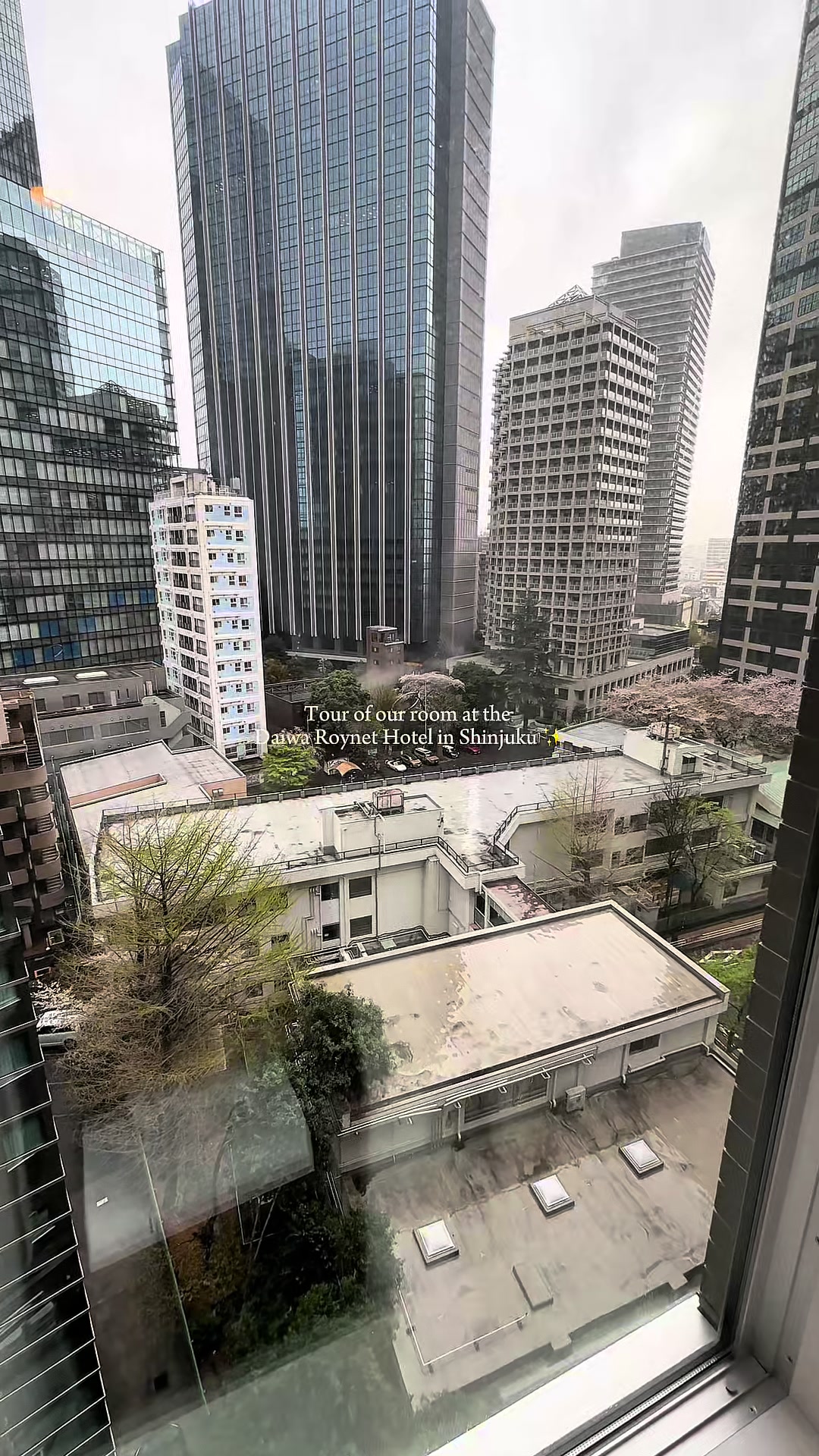 We back in Japan babyyyy

#fyp #japan #tokyo #hoteltour