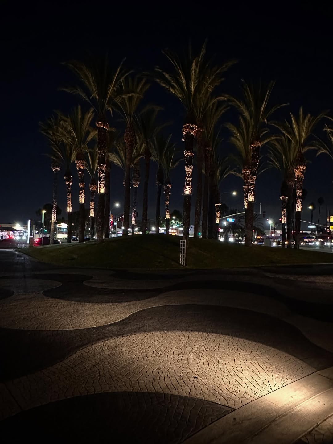 Summer evening in Anaheim, could be a desert setting! #palmtree #desert #anaheim  #hyattregencyorang