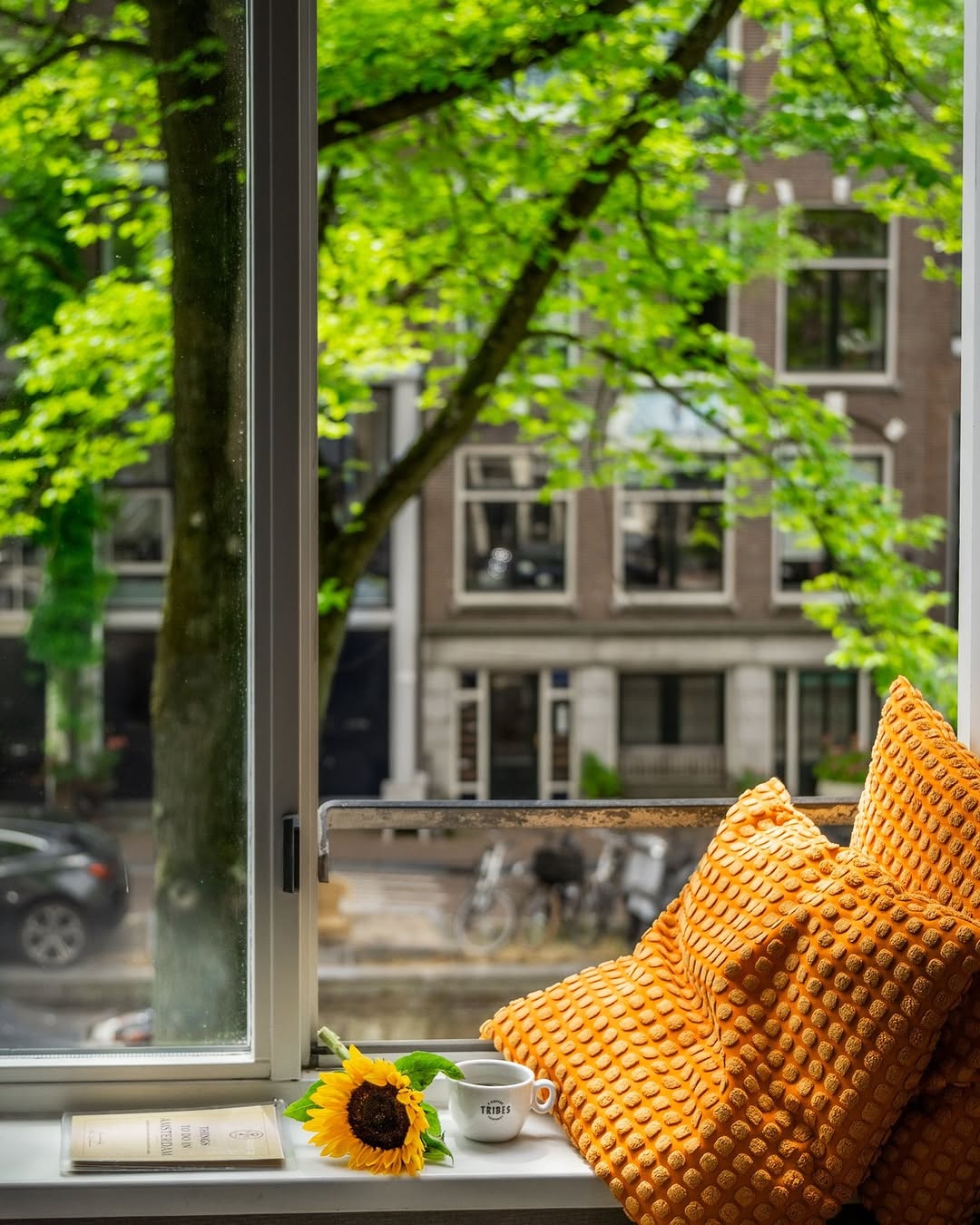 Mornings like this at your home away from home...my place ✨

🗝️ Get 10% off your booking with ‘mrjo