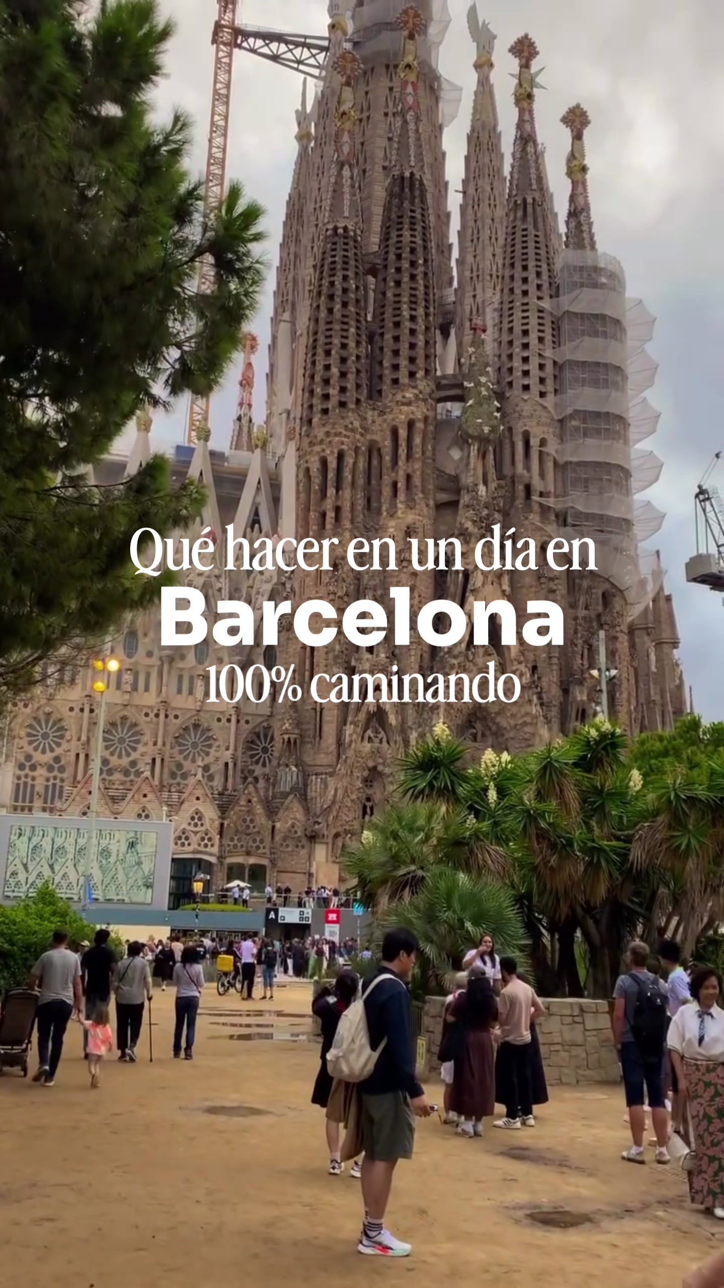 Que hacer un día en Barcelona? Te cuento lo que yo haría si o si. 
📍La rambla📍Mercado de la Boquer