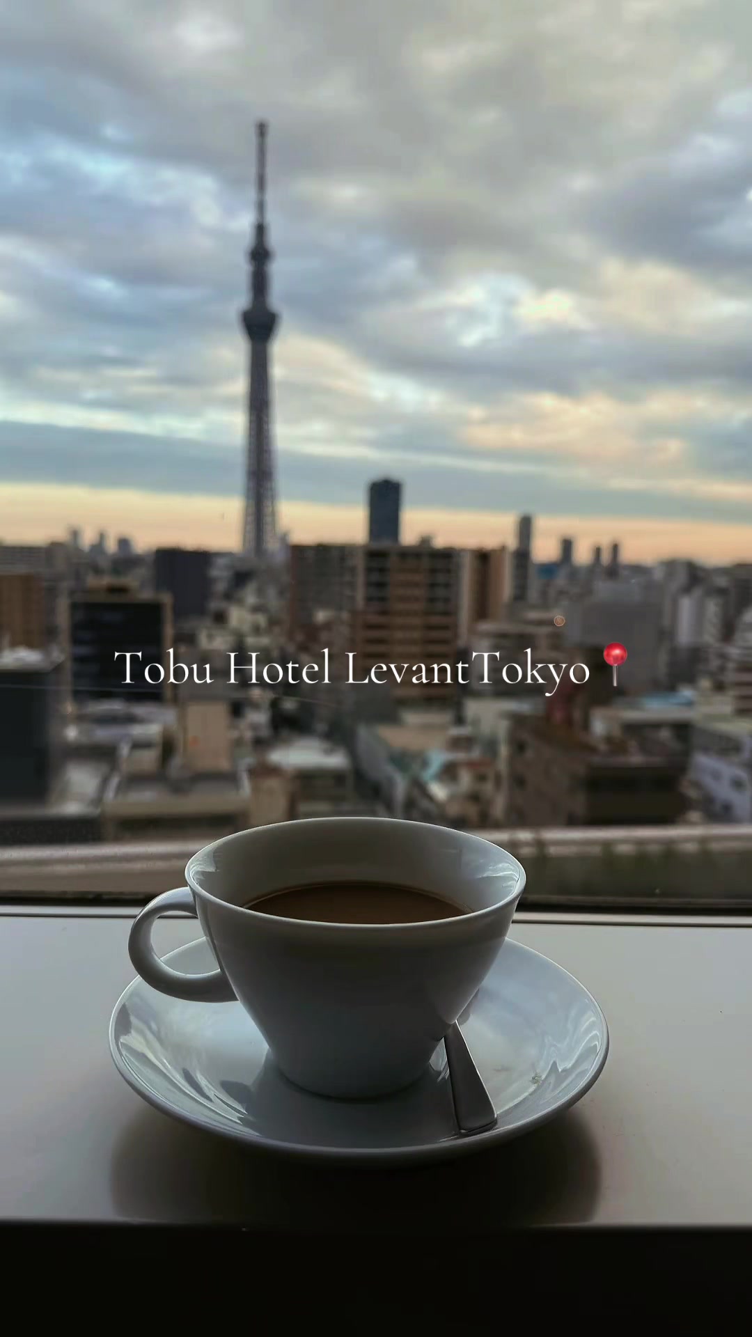 View of Tokyo Skytree
#japan #coffee #coffeetiktok #hotelroom #roomview