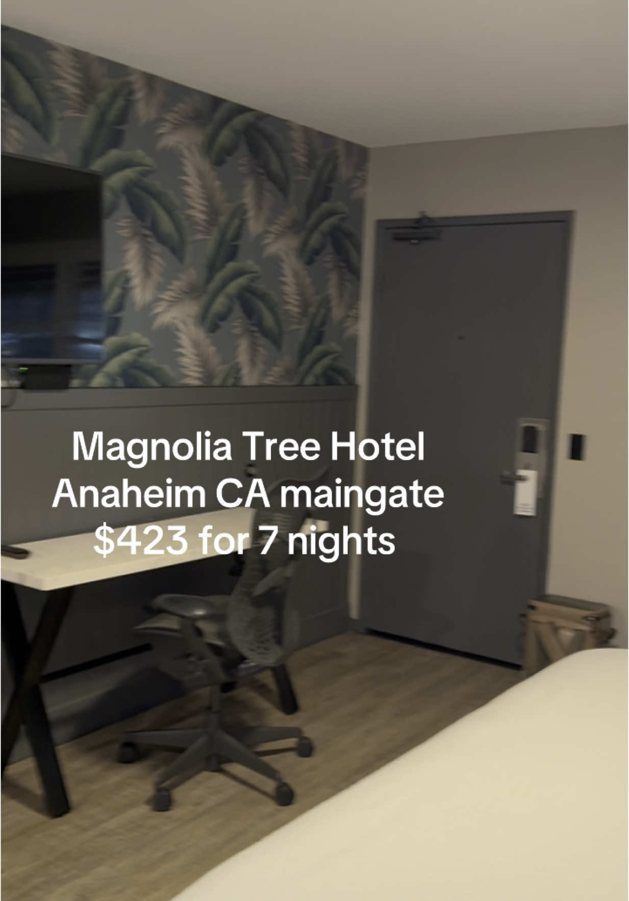 The Magnolia Tree Hotel just got a fresh new look 🌿🛏️
Modern rooms, cozy vibes & minutes from Disn