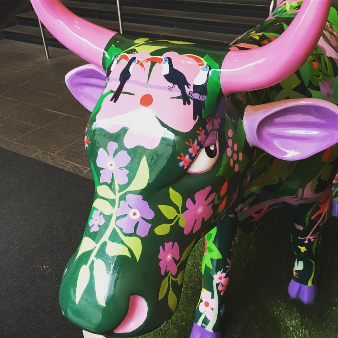 #apexcityoflondonhotel #cow #colors