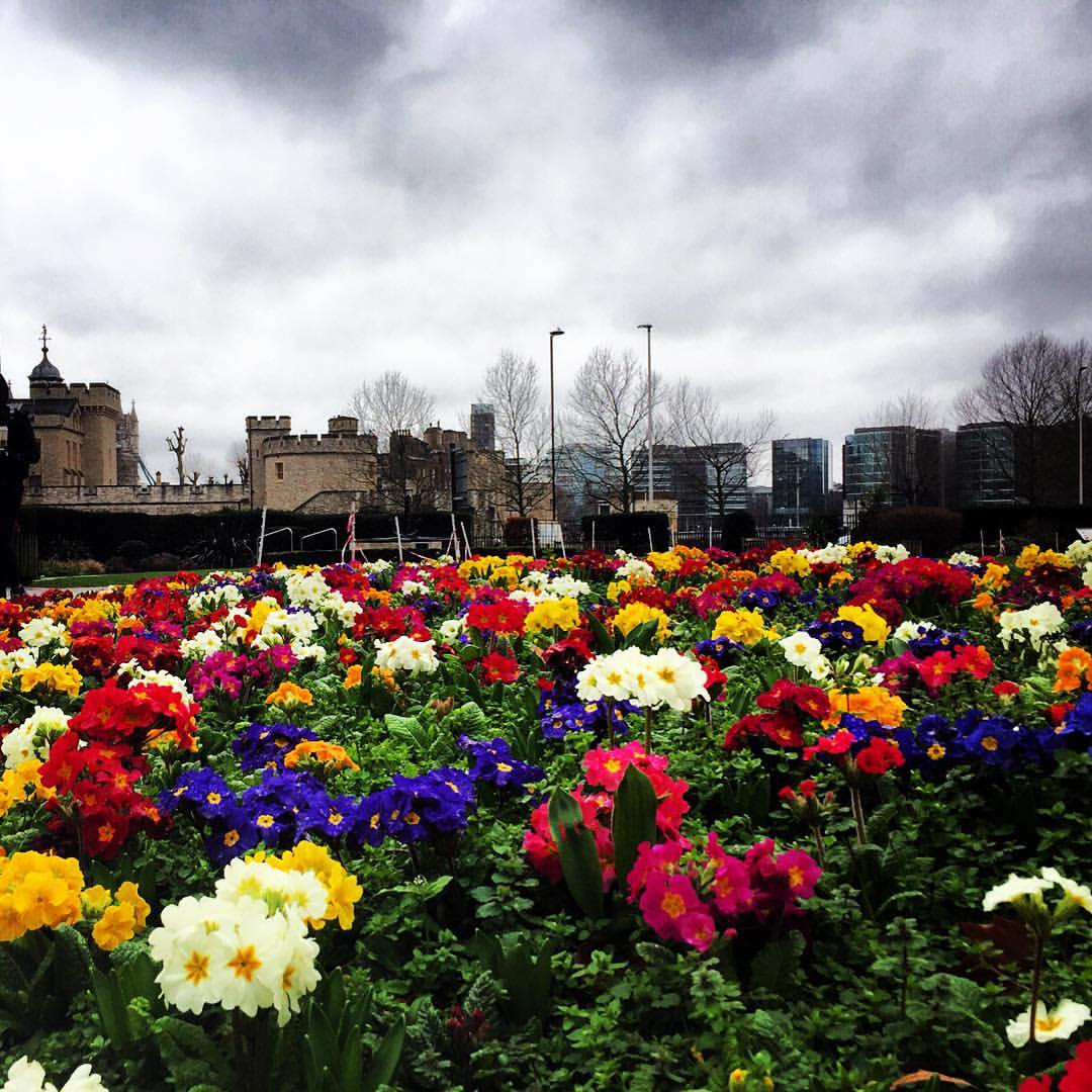 The skies in #London this morning may be a little cloudy but there's no denying #spring is in the ai