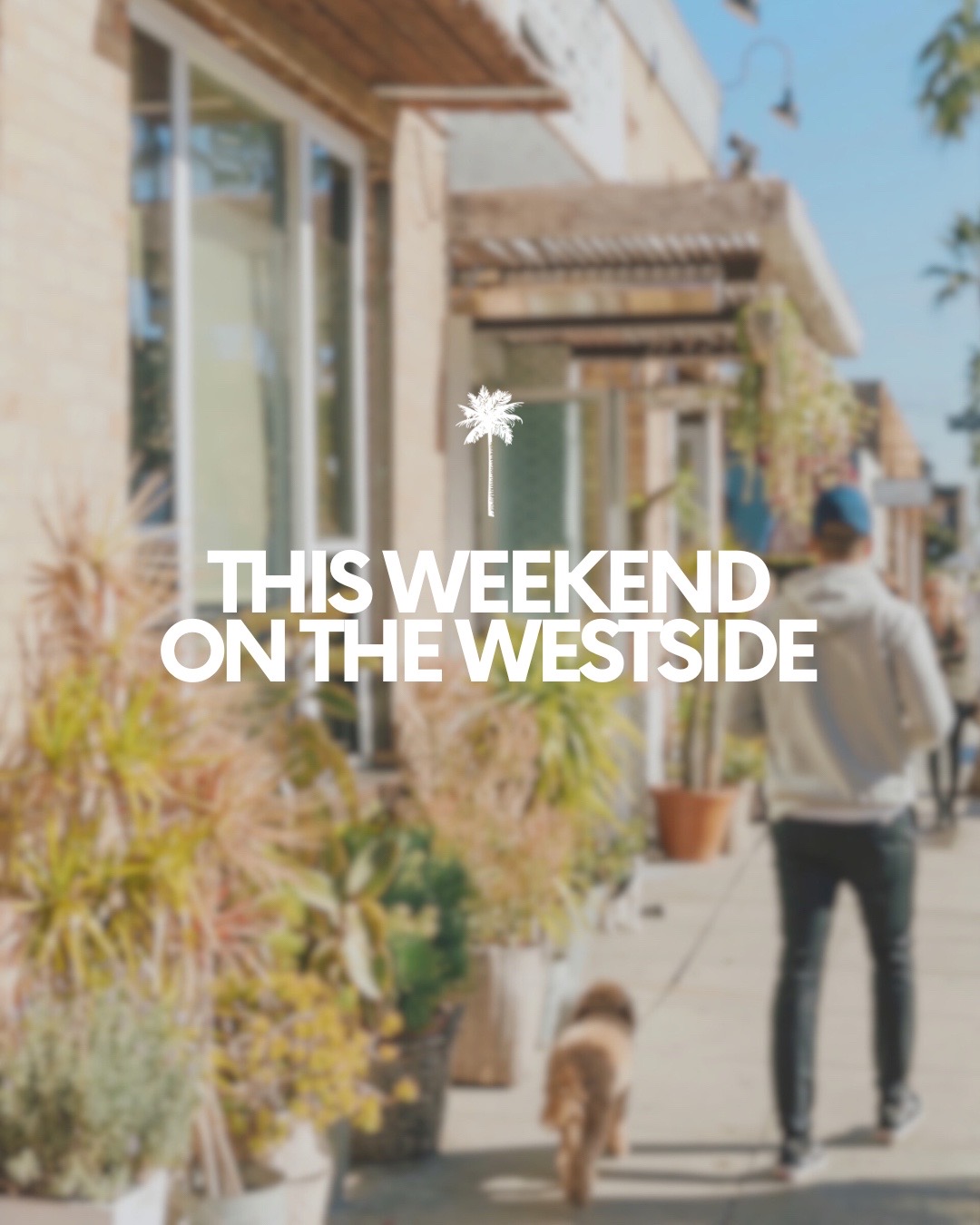 here's your elevated guide to this weekend on the westside. where will we see you this weekend?! #ve