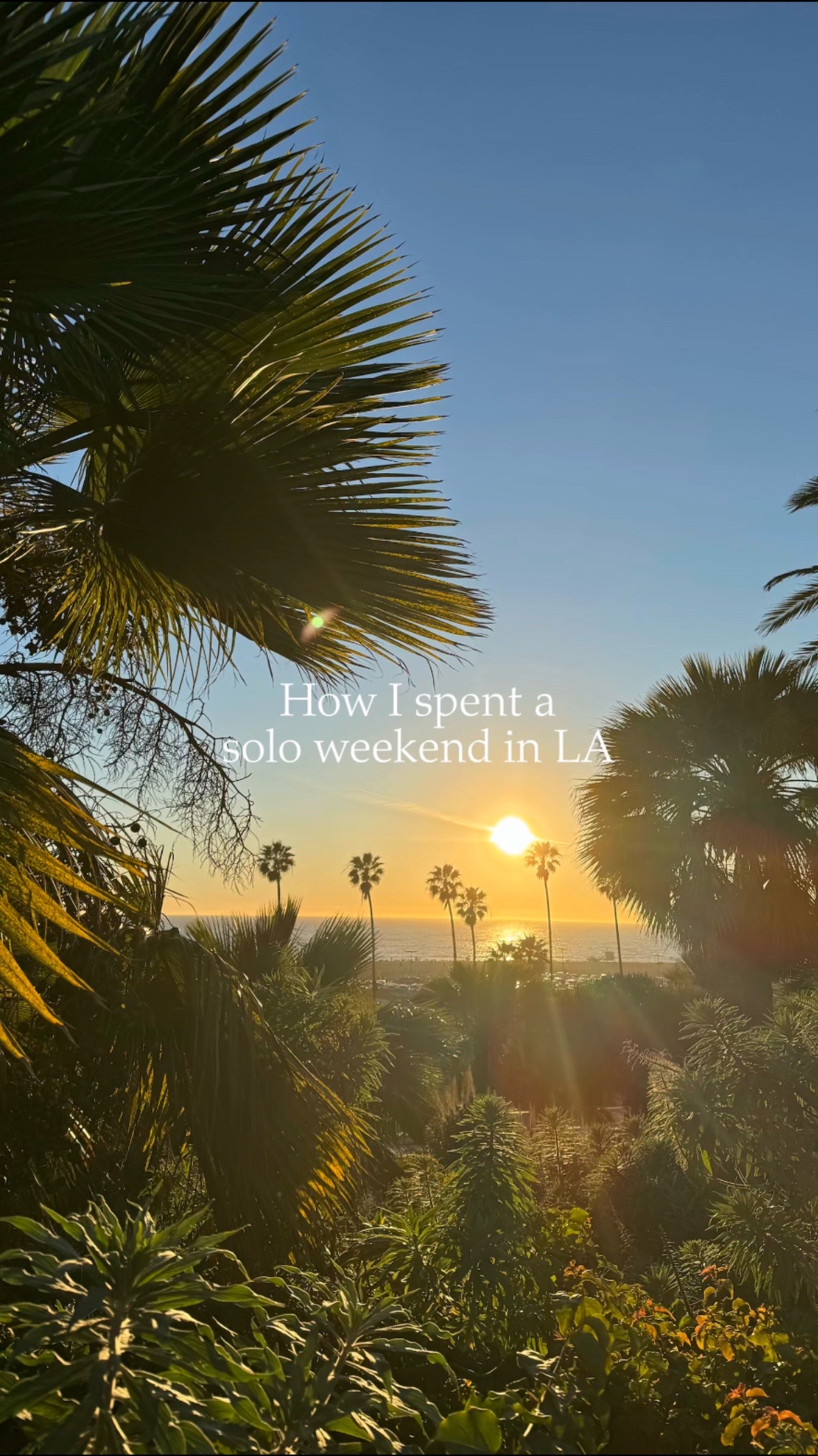 How I spent a long weekend solo in LA! ☀️🌴

#solotravel #travel #LA #santamonica #santamonicapier