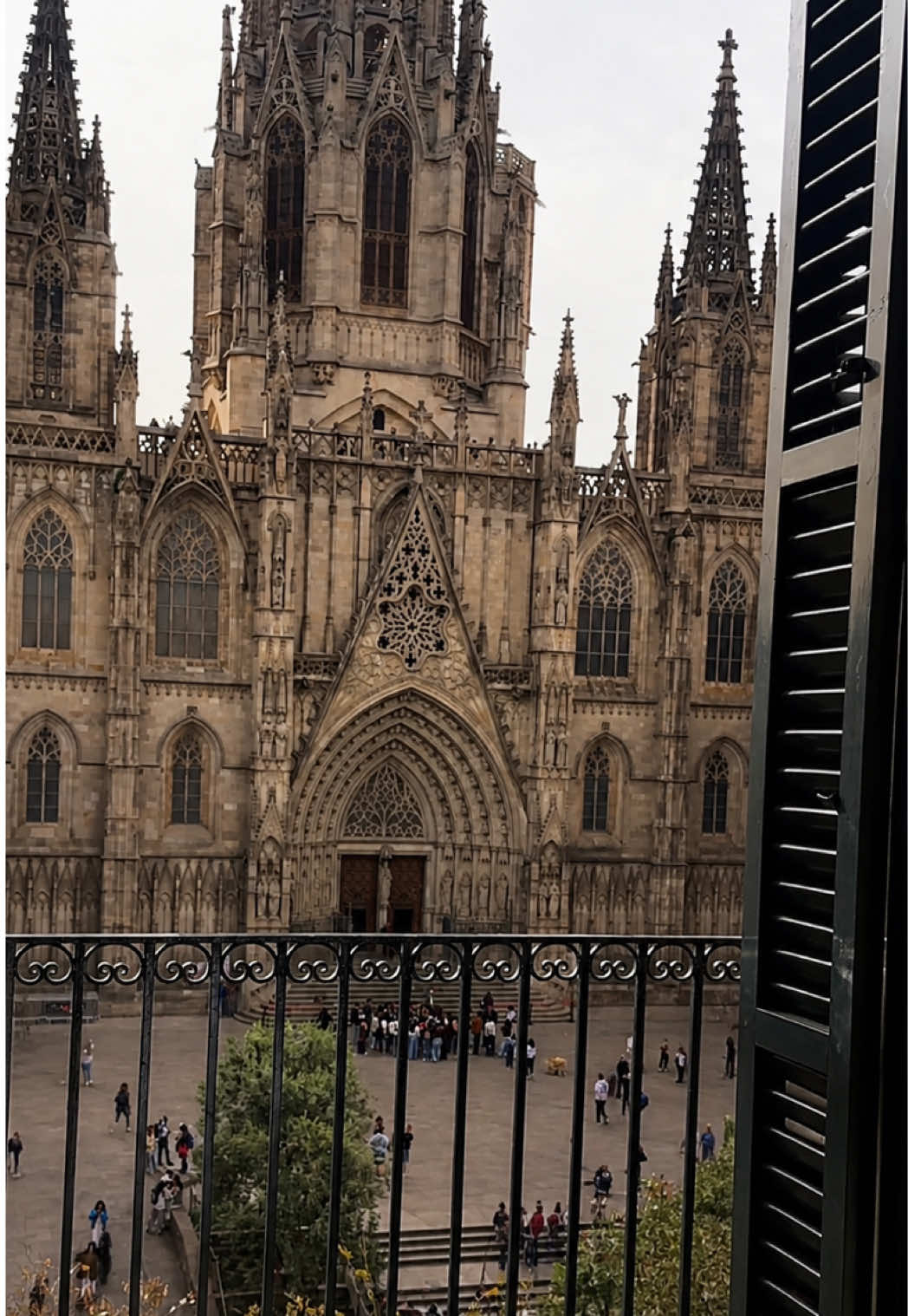 🇪🇸 Barcelona feels different when you stay here.

Located in the heart of the Gothic Quarter, Lama
