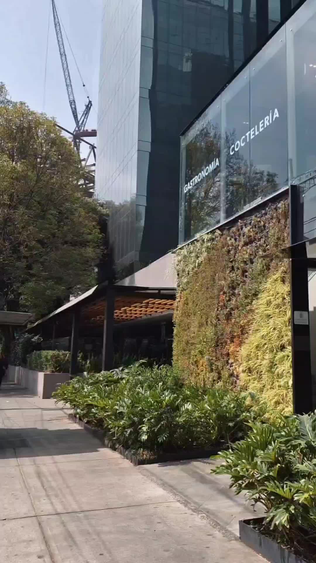 🍽️✨ Descubre La Reforma Uno: Sabor, Estilo y una Vista Increíble ✨🍷
Ubicado dentro del Krystal Gra