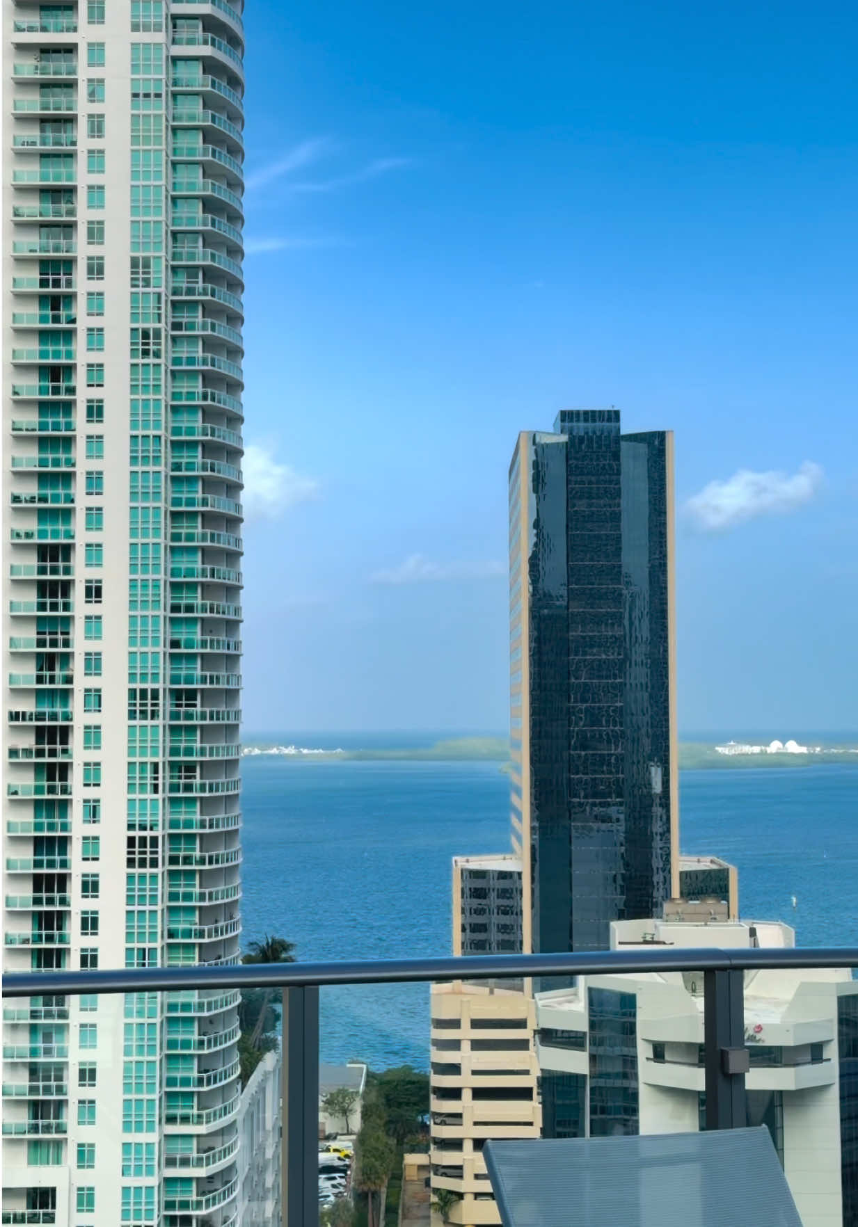 😍🌴🐬 My new favorite solo trip hotel @citizenM  Miami Brickell location was an amazing experience 