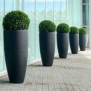Alles heeft een ritme....

#frizzlesizzle #buxus #buitenplanten #parkplazaamsterdamairport