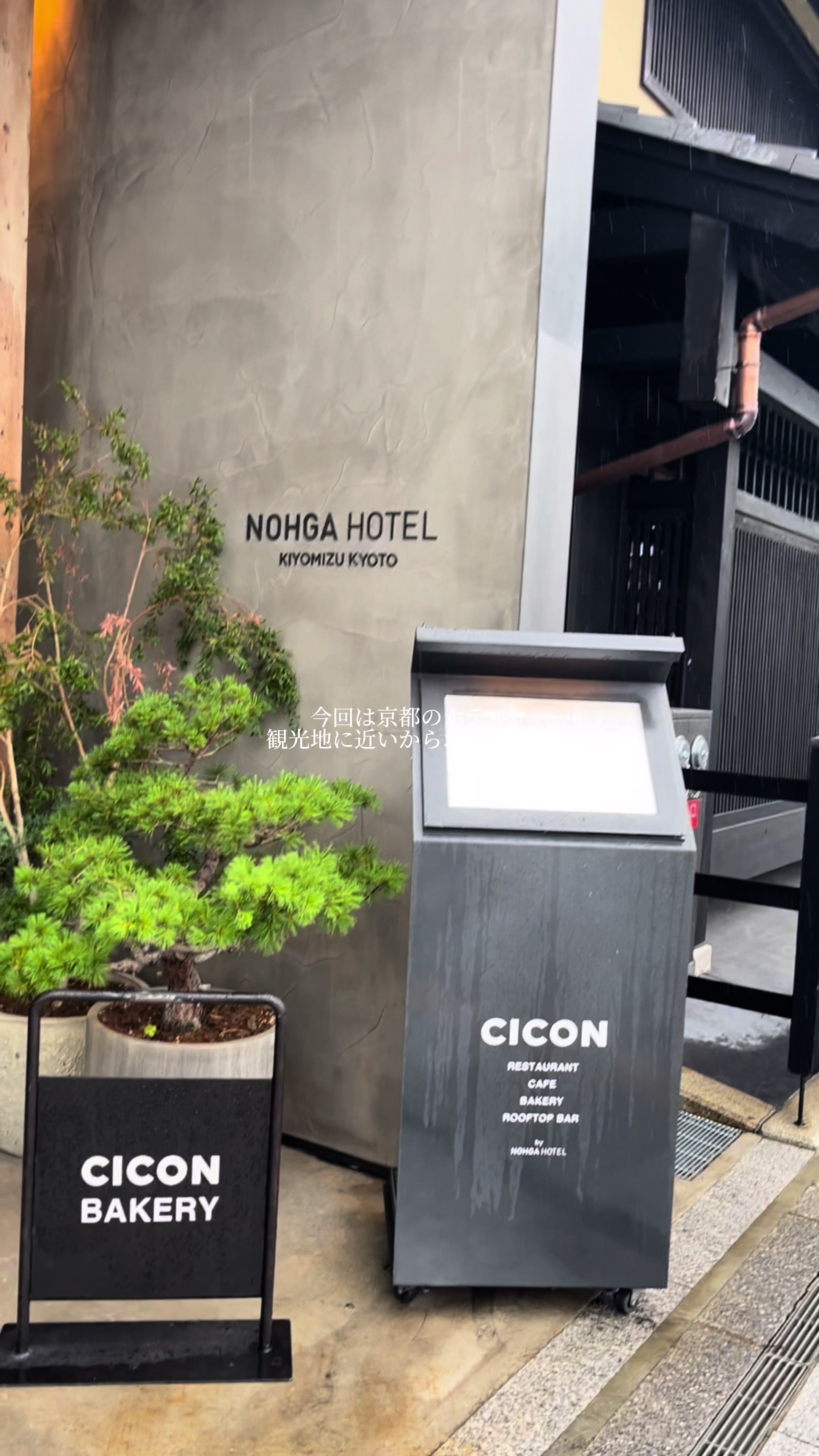 ‪✿京都ホテル｜ノーガホテル清水京都

おしゃれすぎてこれまたリピ確ホテル‎🤍
今回ルーフトップバー行けなかったから絶対また行くぞ🥺

#ホテル #ホテル紹介 #京都 #京都旅行 #京都ホテル #