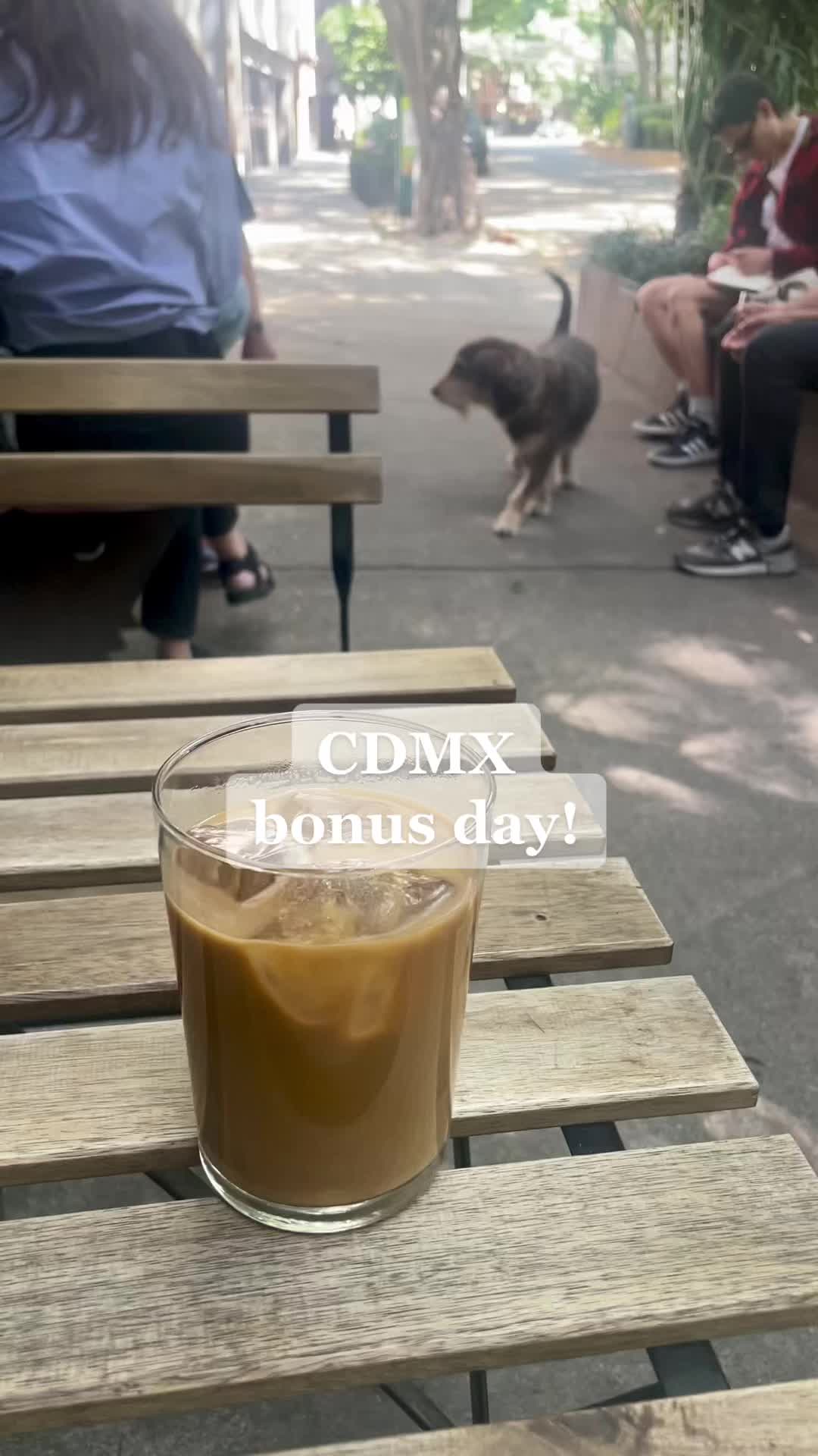 BONUS day 👉🏽

+ @quentincafemx 
+ breakfast @cicatriz.cdmx 
+ 🔑 @thewildoscar 
+ room service esq