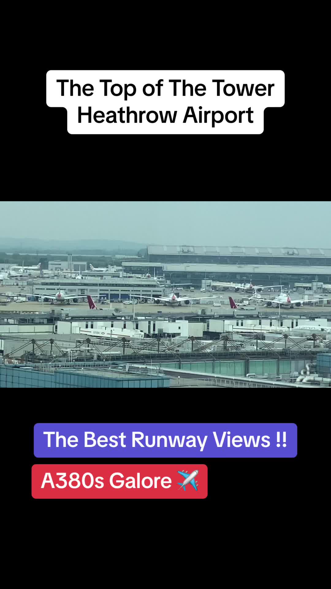Is this the best Hotel at Heathrow Airport - Junior Suite Tour and Dinner in the Runway Bar - Hilton