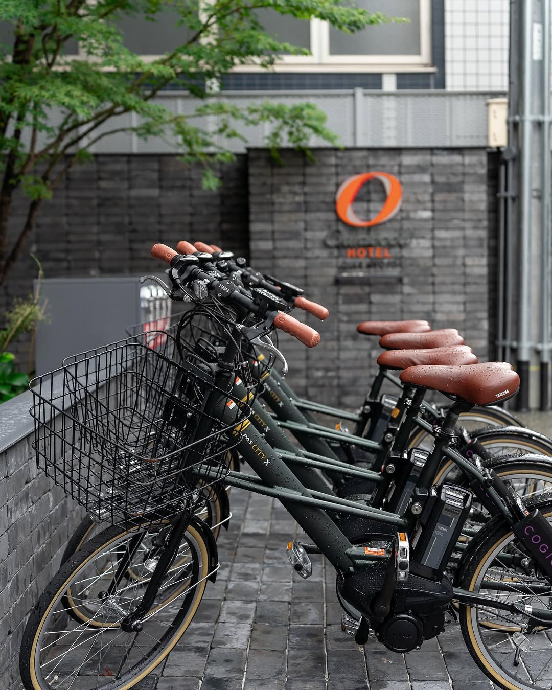 オークウッド京都御池では、自転車のお貸出しをしています🚲
自転車だからこそ体験できる京都の路地裏や美しい景色をお楽しみください✨混雑を気にせず行動できるのも魅力ですね。

At Oakwood Ho