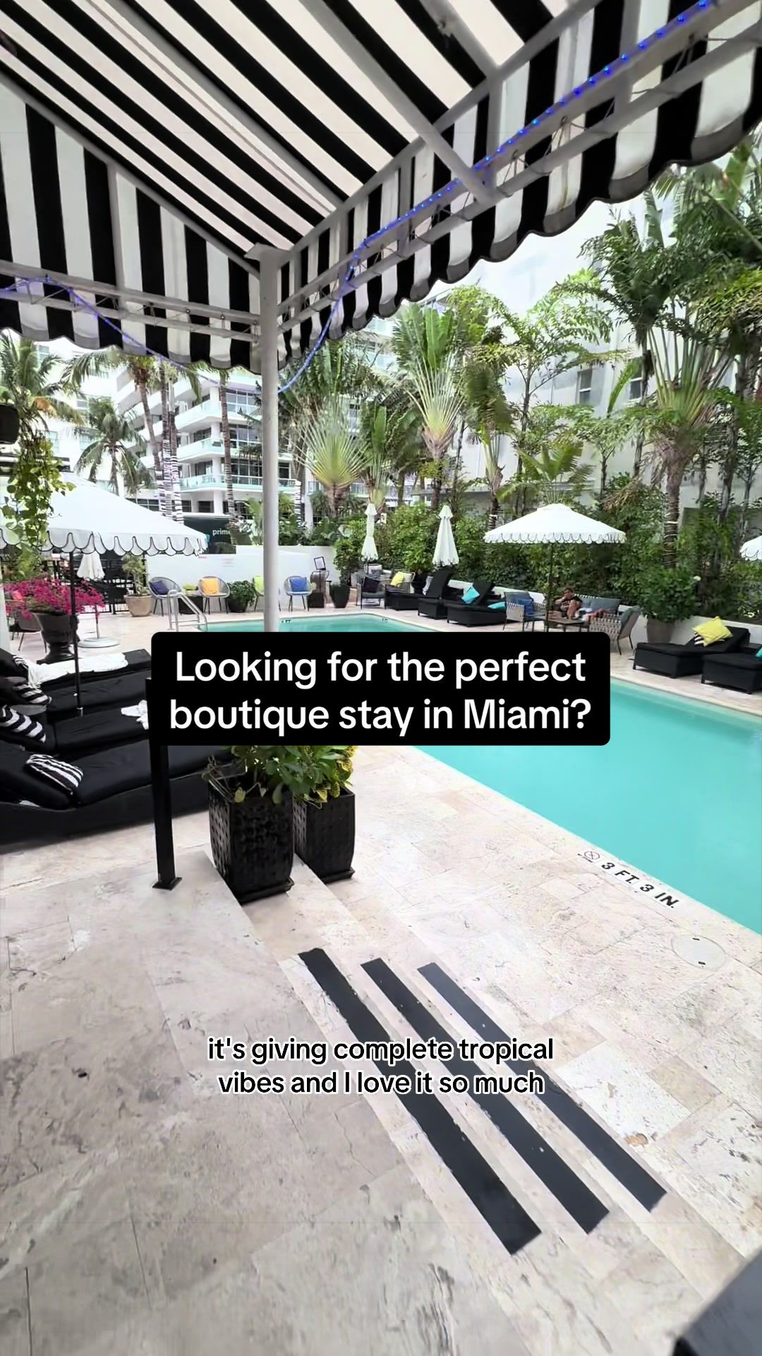 Checking into paradise at Hotel Croydon in Miami! 🌴 From the tropical pool vibes to an amazing lunc