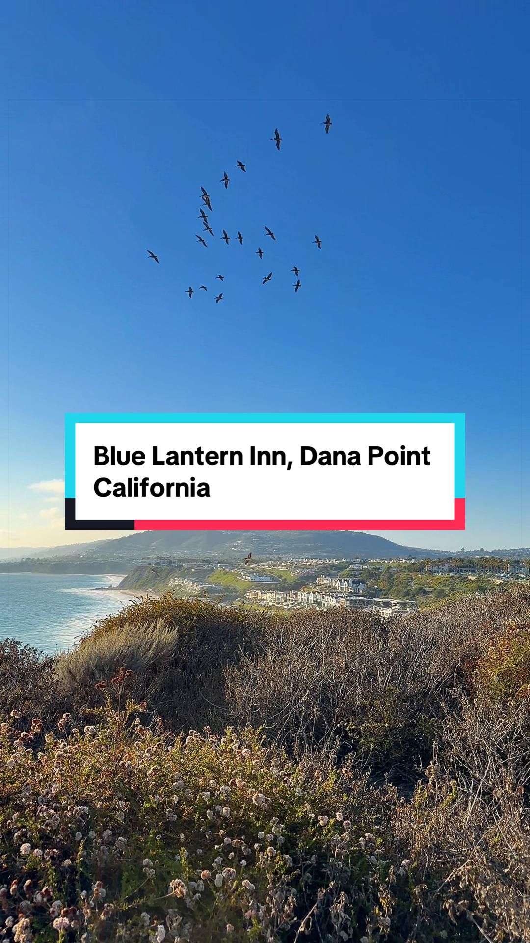 staying at the blue lantern inn in dana point is the perfect cozy coastal escape! ocean views, charm
