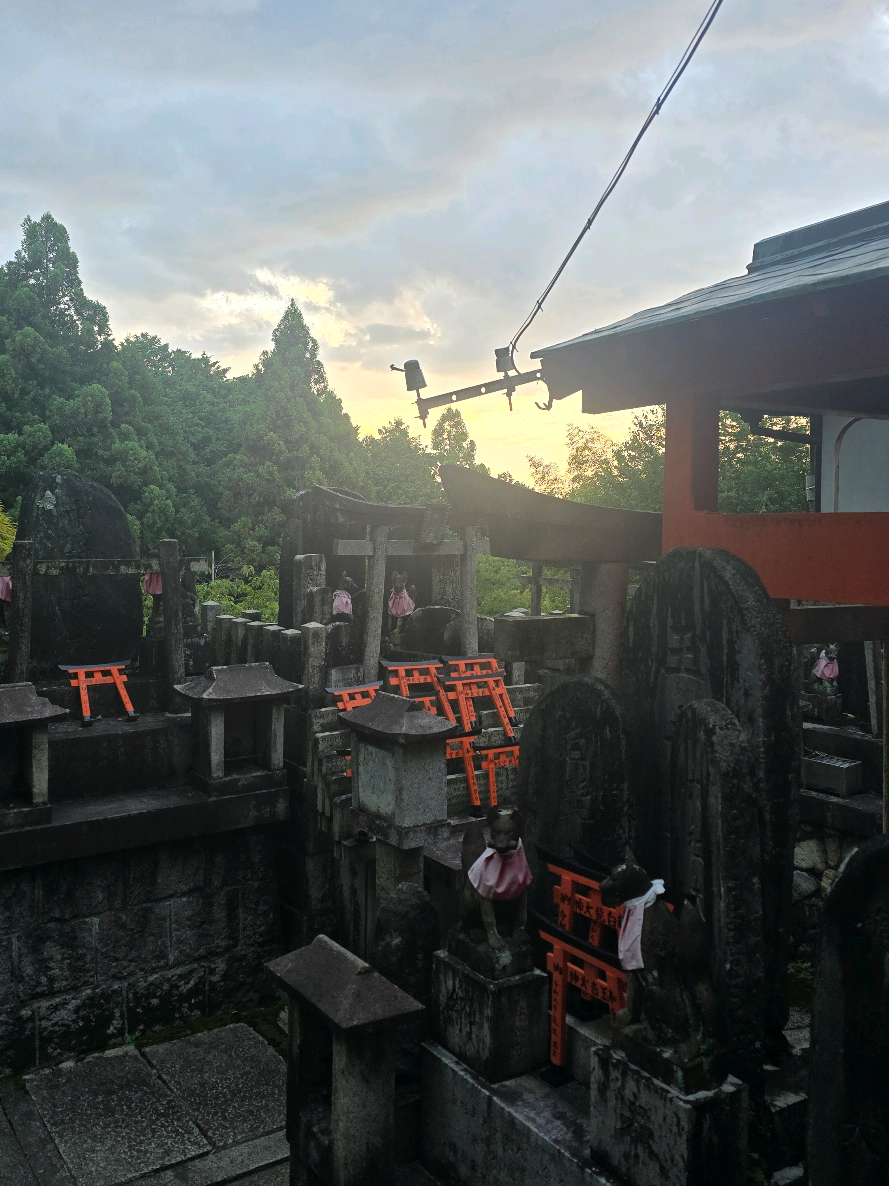 Kyoto has some hidden gems...
#kyoto #torii #japan #temple #bleach