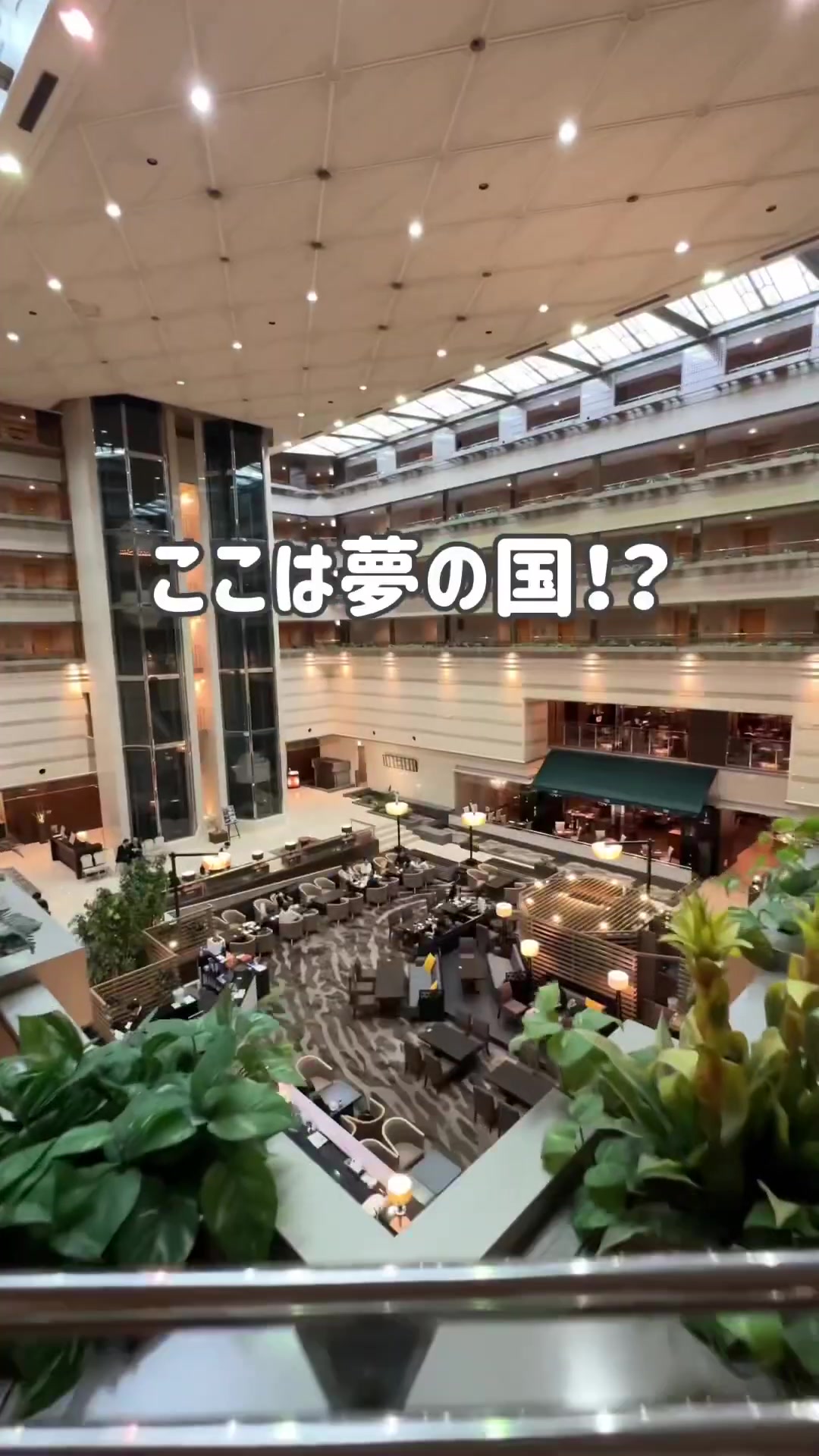 【ここは夢の国⁉︎】おもてなしがすごすぎるホテル✨|最高級ホテルで体験する夢のようなサービス

#京都ホテル #京都旅行 #japantravel #おもてなし #夢の国