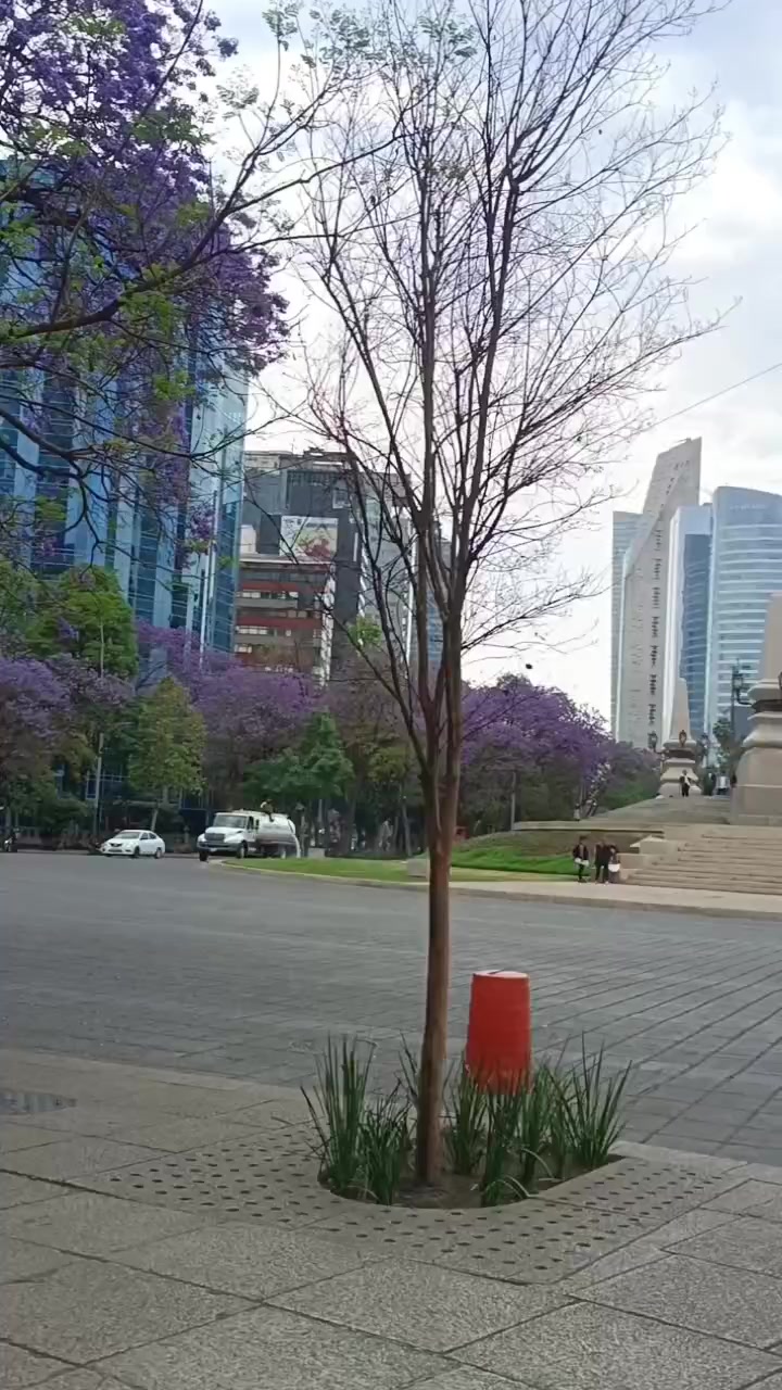 Hotel geneve en ciudad de México