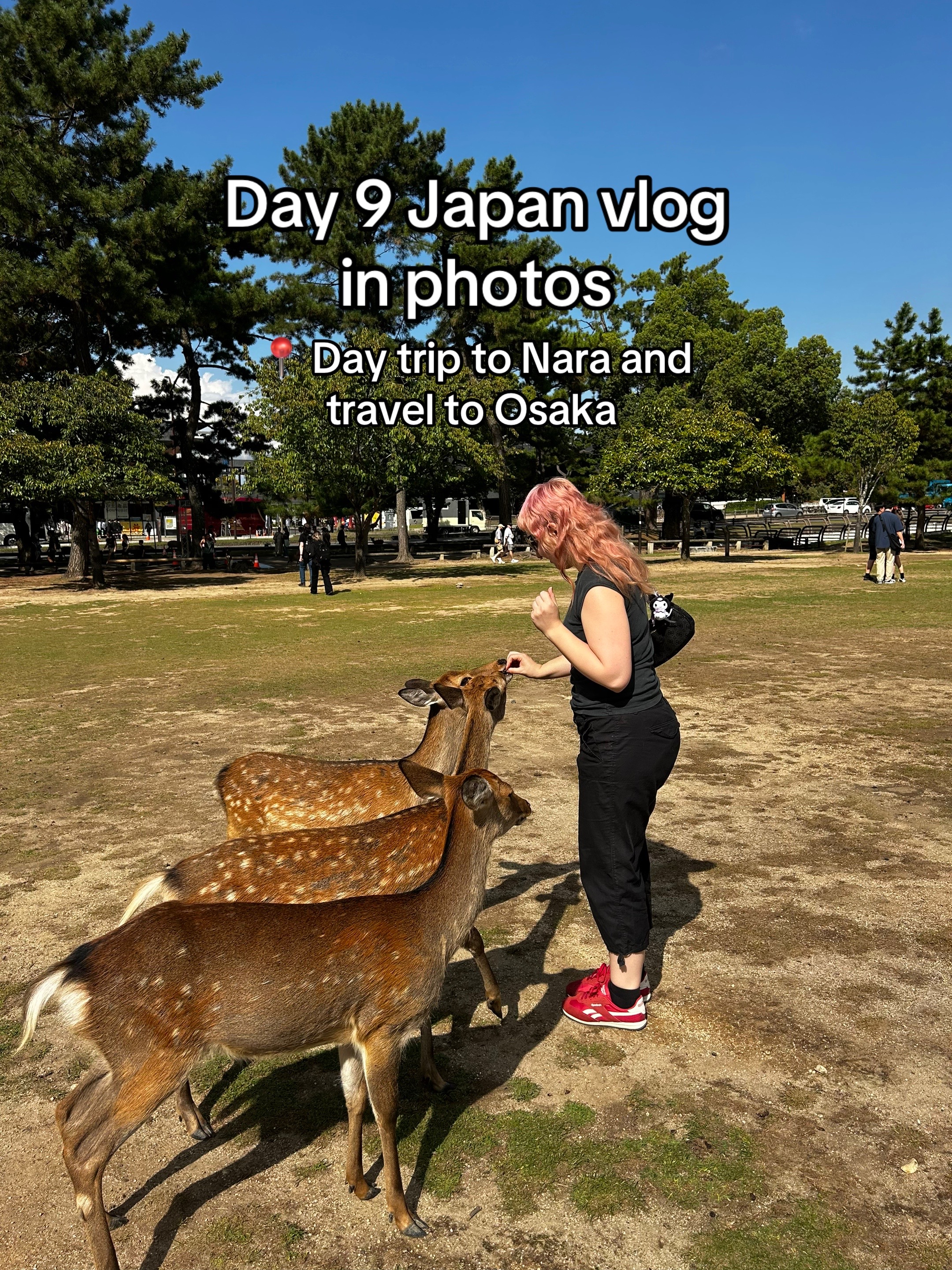 It’s so cold and dark now I wanna go back 😭😭 #tokyo #japan #travel #nara #osaka