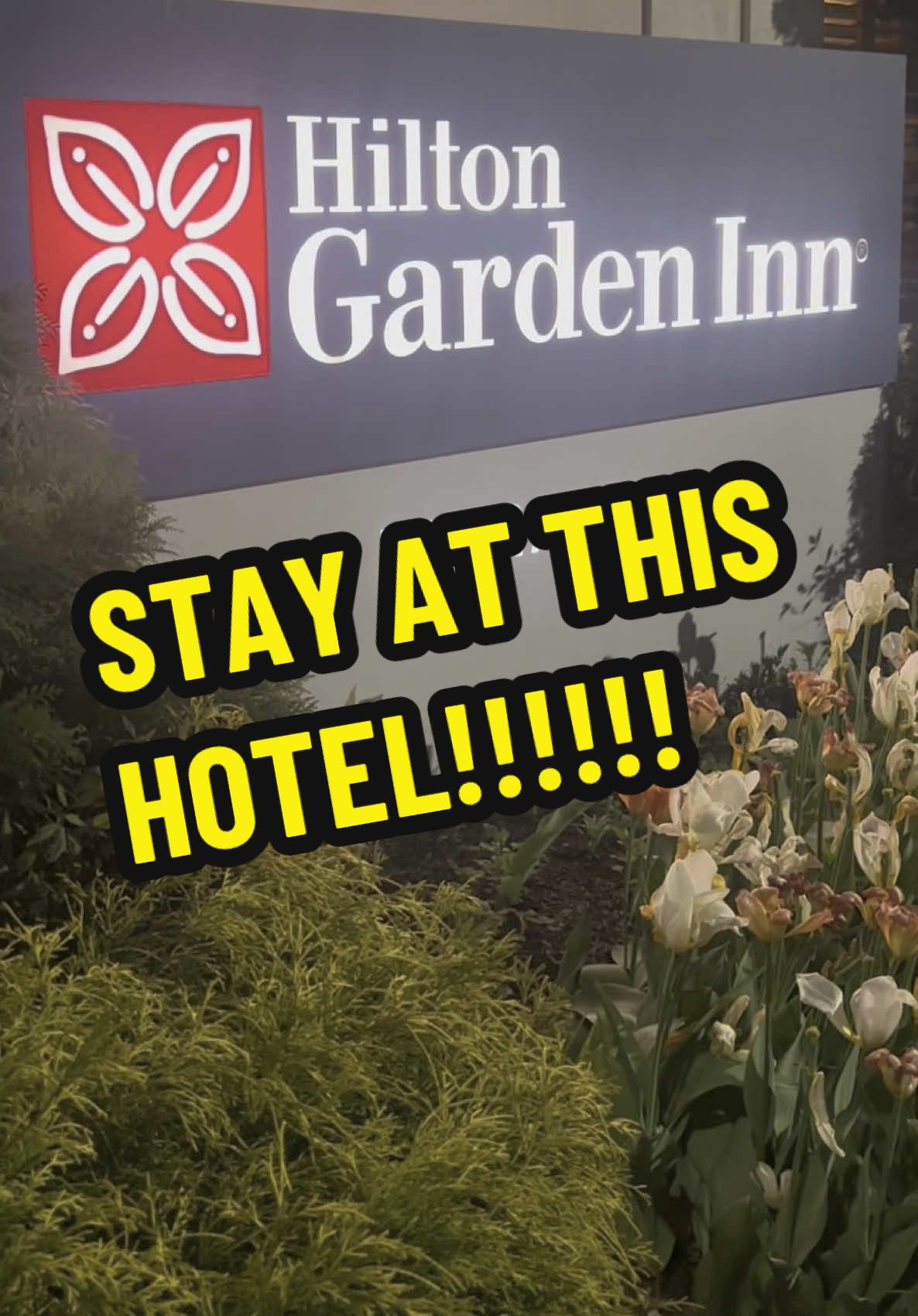 WHY YOU SHOULD STAY AT THE HILTON GARDEN INN!!!
-
-
-
A review and hotel tour!!!
#marriott #hilton @