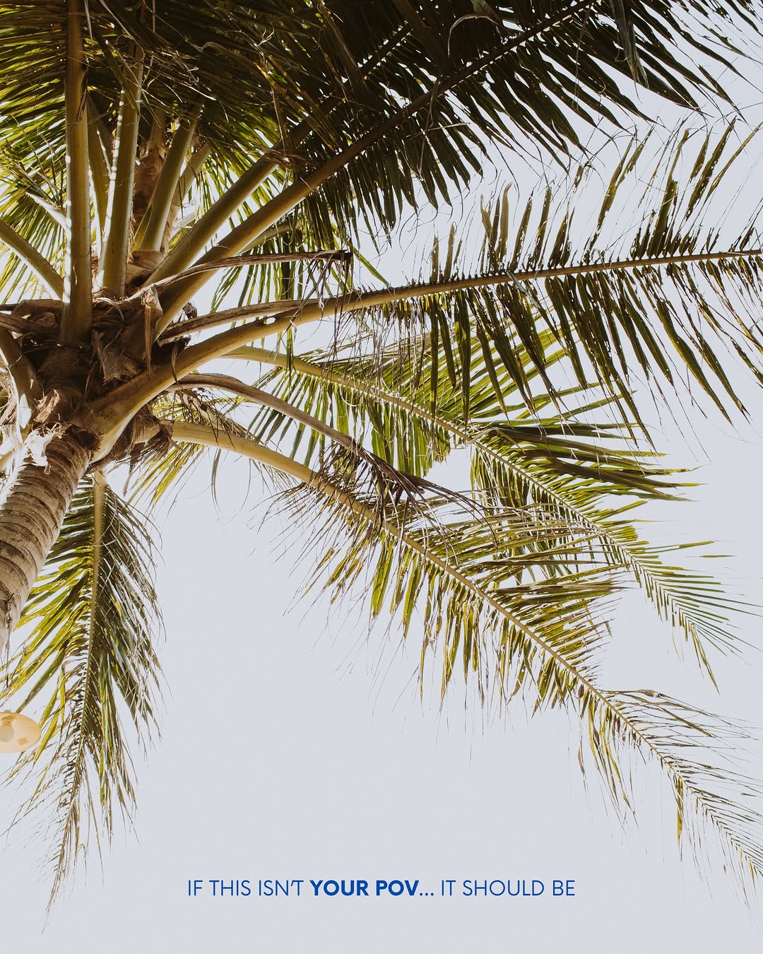 Somewhere between doing nothing… and enjoying everything. 
That’s the kind of stay we like 🌴 

Ever