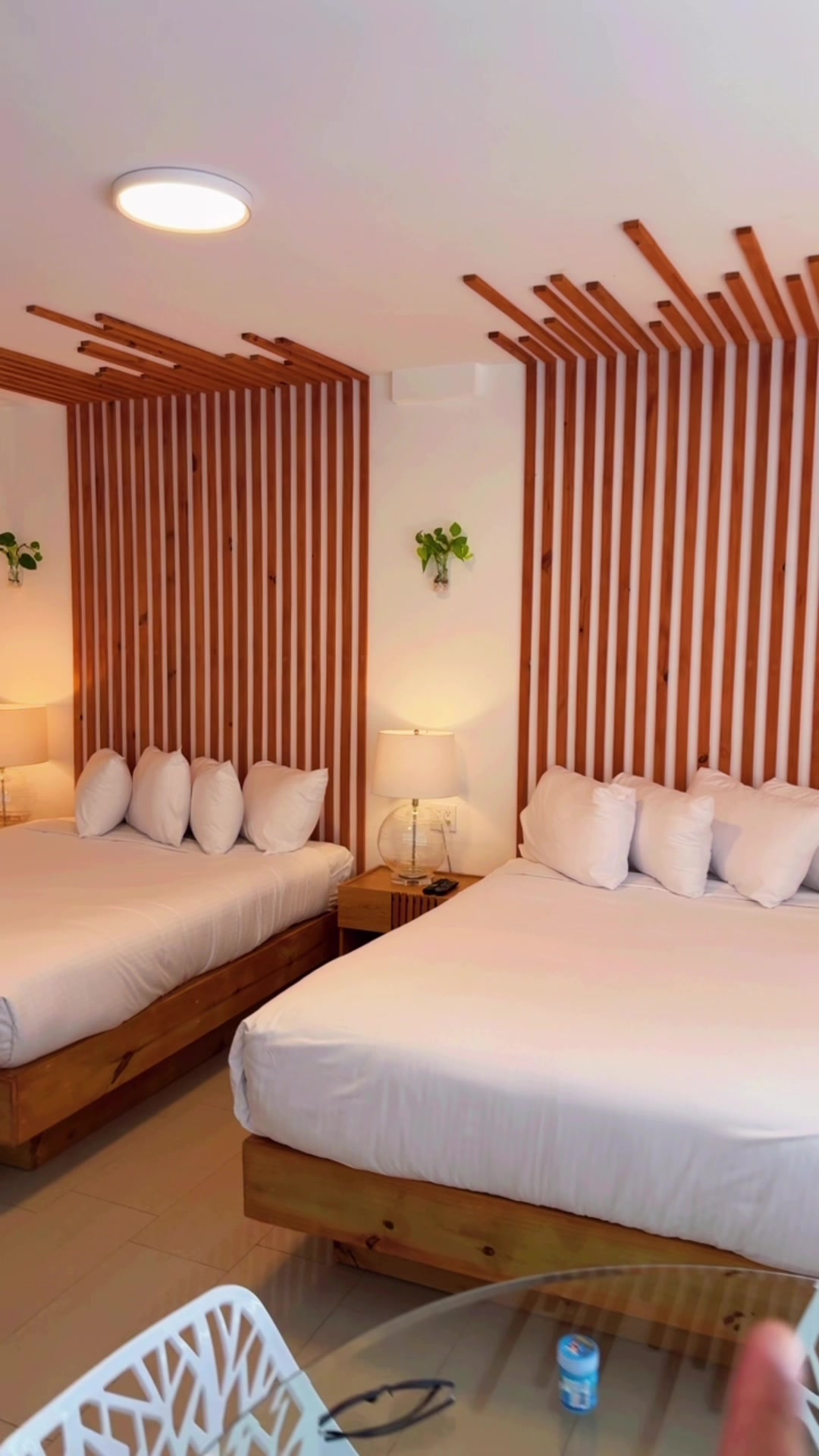 Checked into Hotel Belleza, just a short walk from South Beach. It’s affordable, cozy, and welcoming