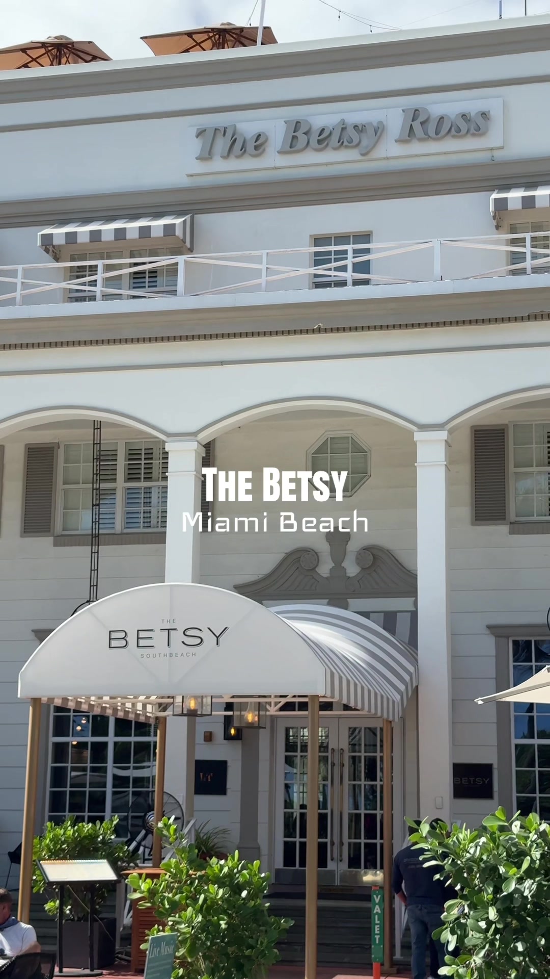 Cute Hotels in Miami Beach #tiktokgogrow #budgettravelguide #miamibeach #luxuryhotel