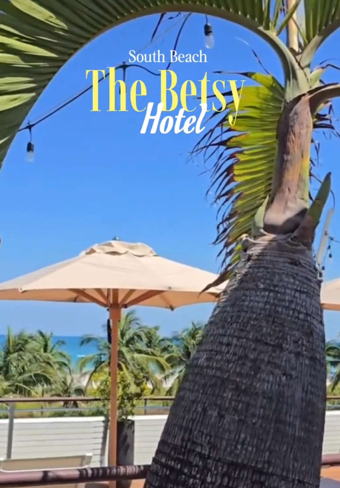 🌴🌊The Betsy is pure South Beach charm without the chaos.
Right on the quieter end of Ocean Drive w