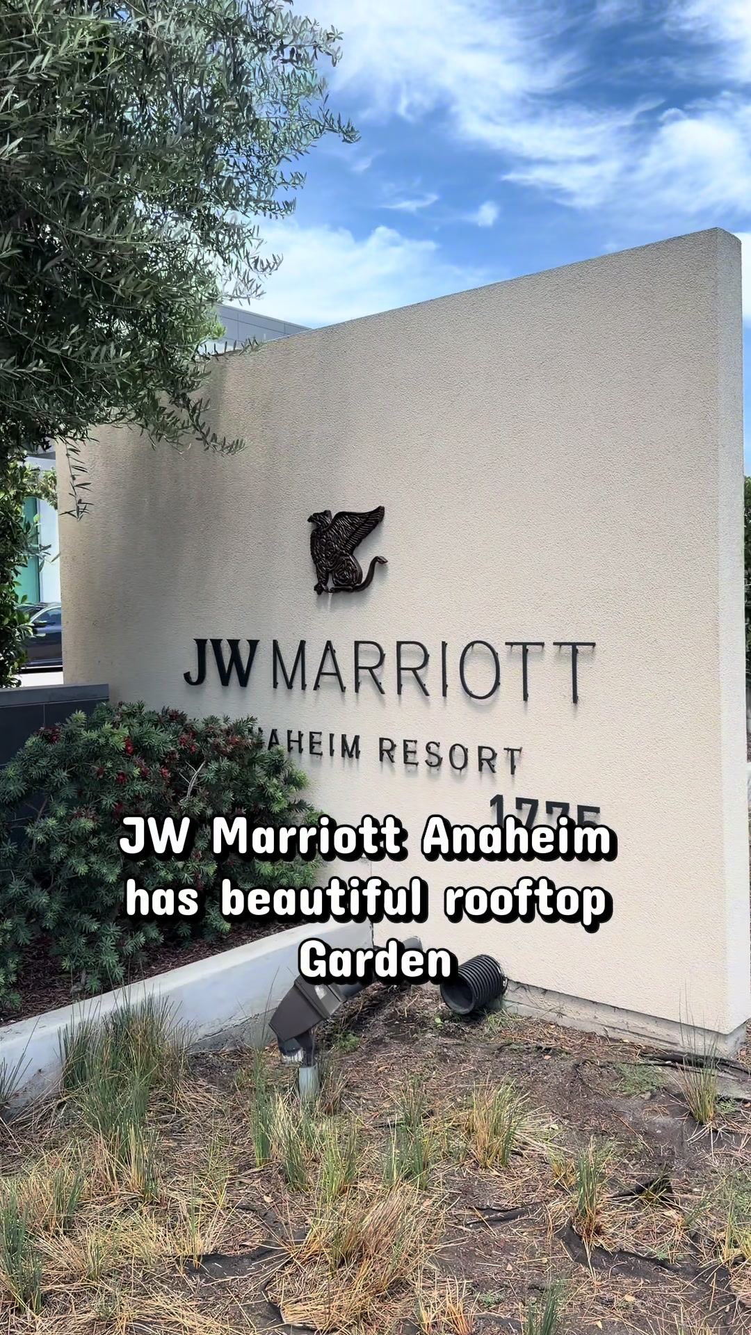 #TikTokCreatorSearchInsightsIncentive #travelingplaces JW Marriott is Anaheim is very close to Disne