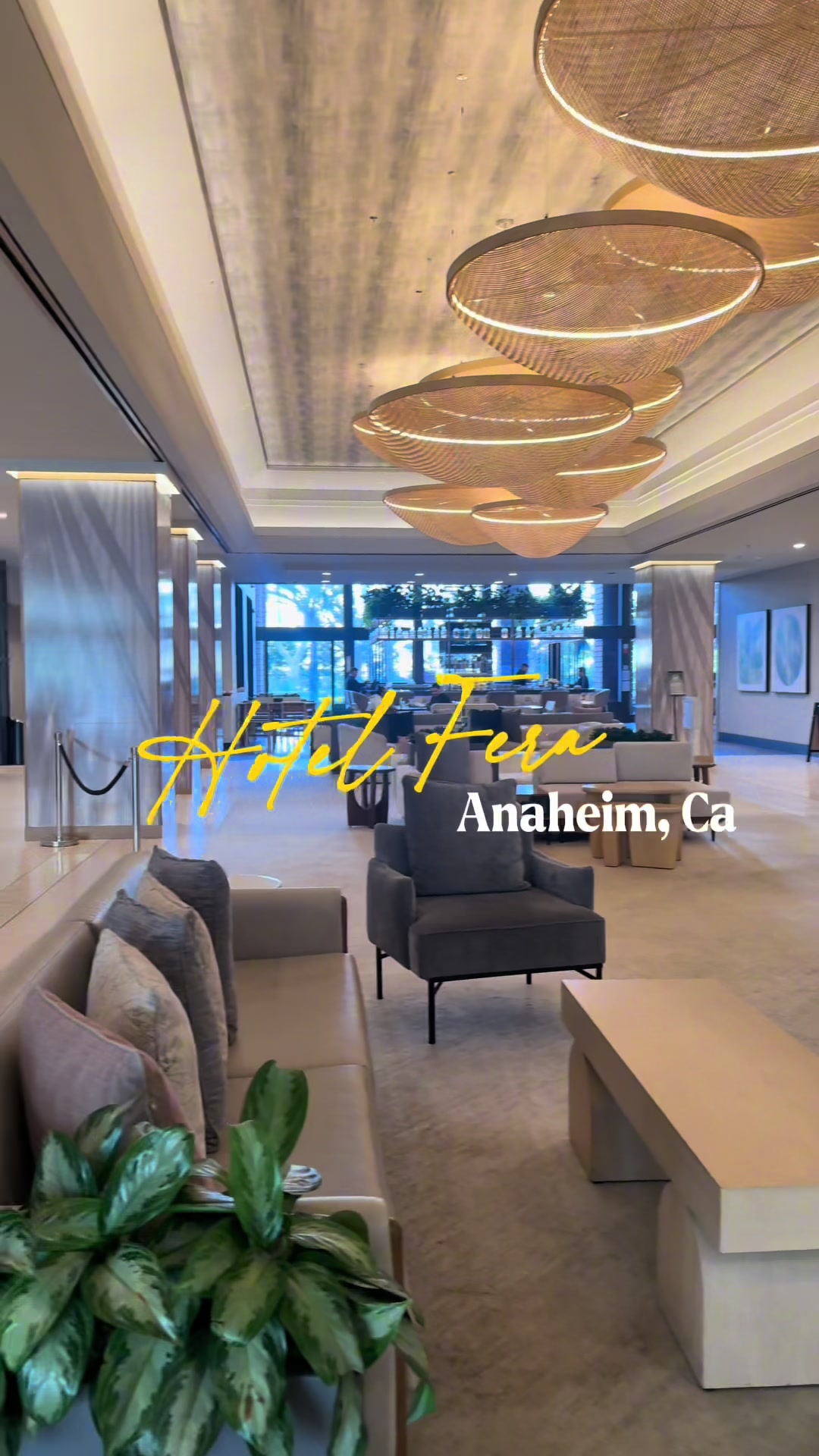 Checking into Hotel Fera feels like stepping into a modern Southern California retreat. Clean design