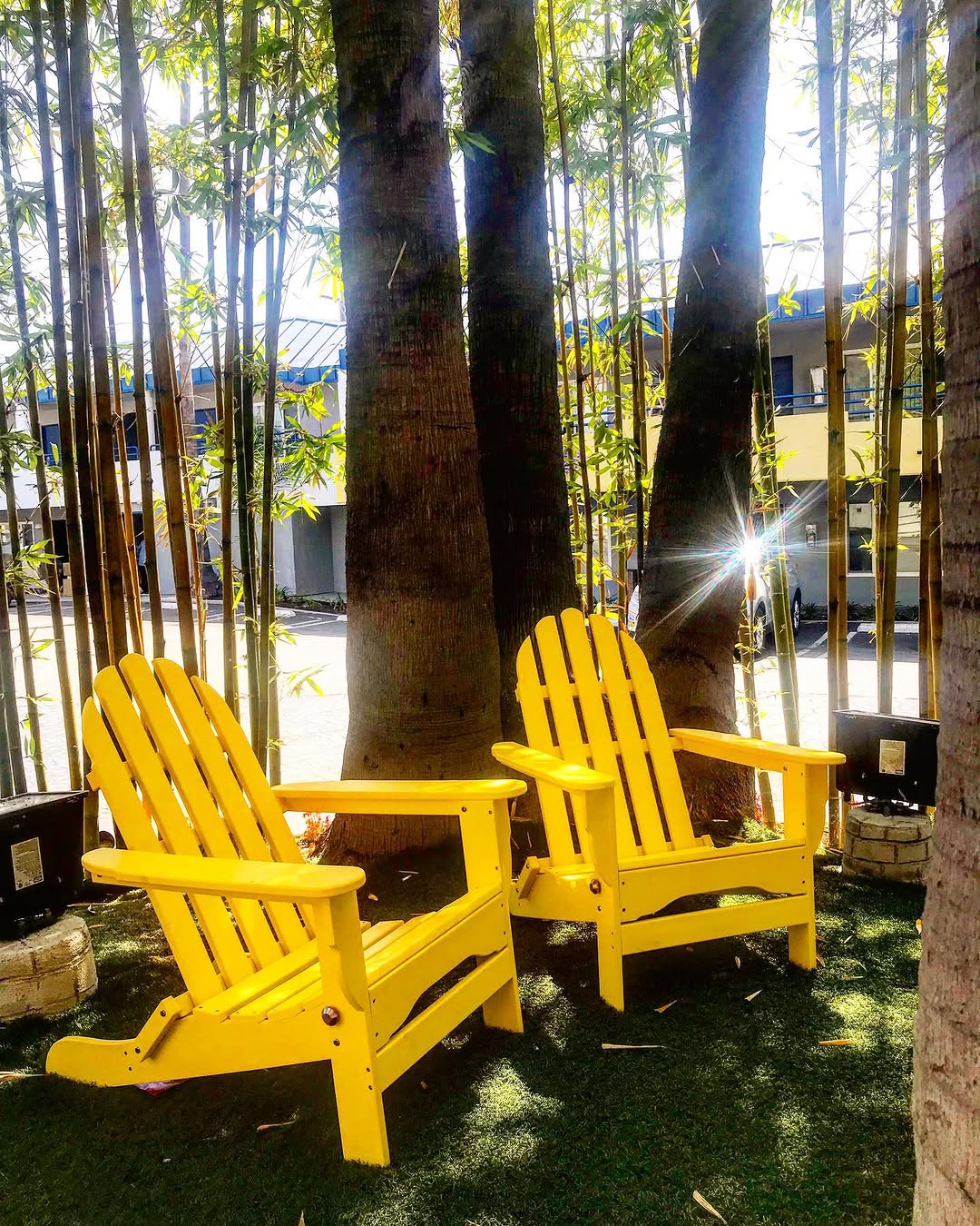 Happy Friday y’all! Our new Big Yellow Chairs 💛 🌞Looking for a place to hang out this weekend? We 