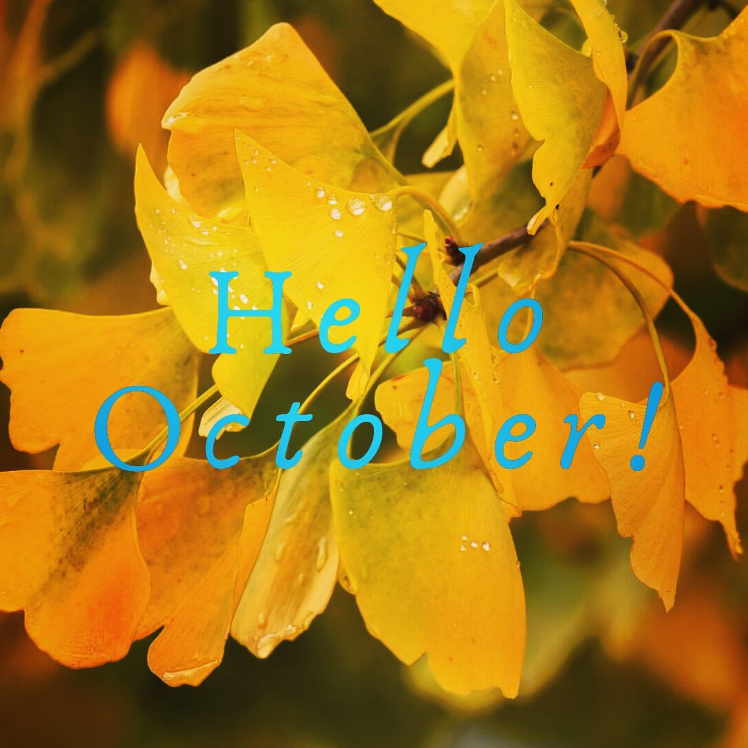 “Autumn shows us how beautiful it is to let things go” 🍁🍂#hotelcurrentlongbeach #staycurrent #long