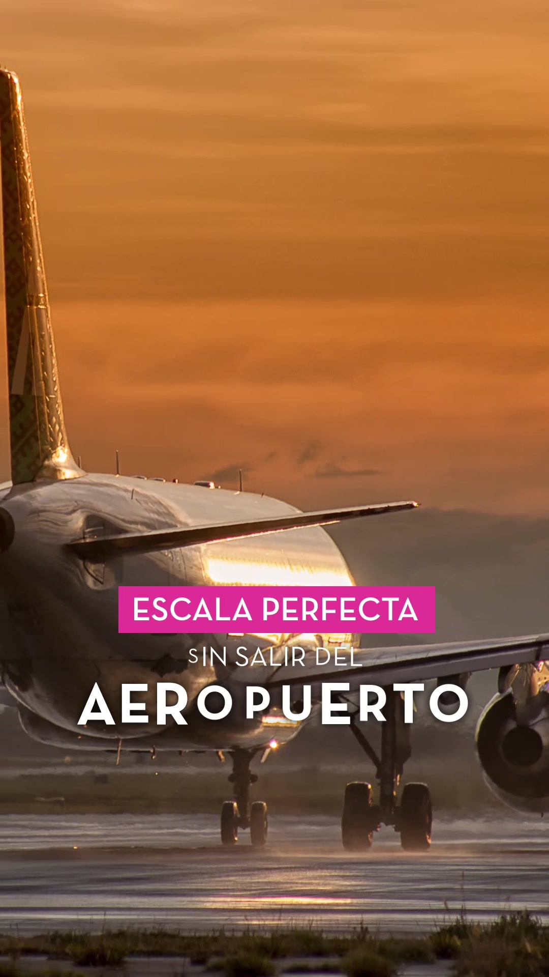 Olvídate del estrés entre las conexiones de tus vuelos… date un respiro en Camino Real Aeropuerto, d