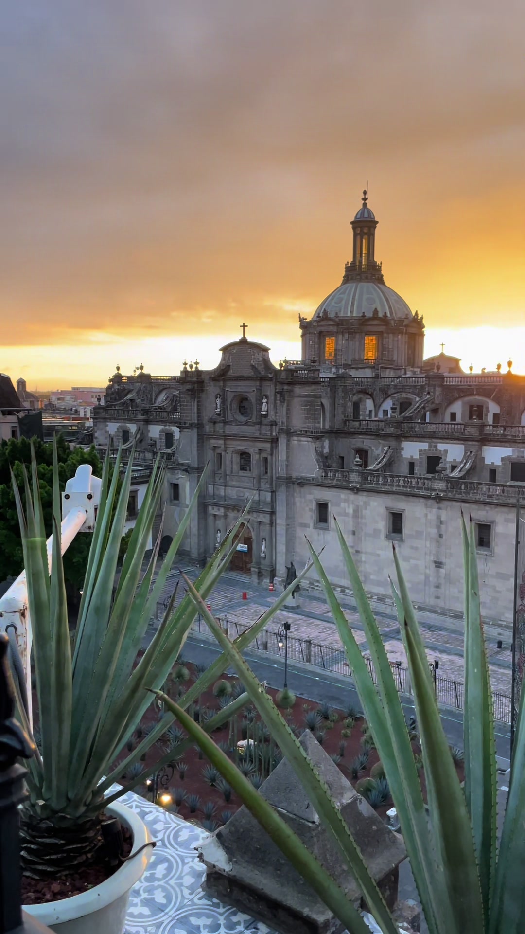 This is my favorite hotel in Mexico City !
It’s safe it has airport pick up and drop off ! The staff