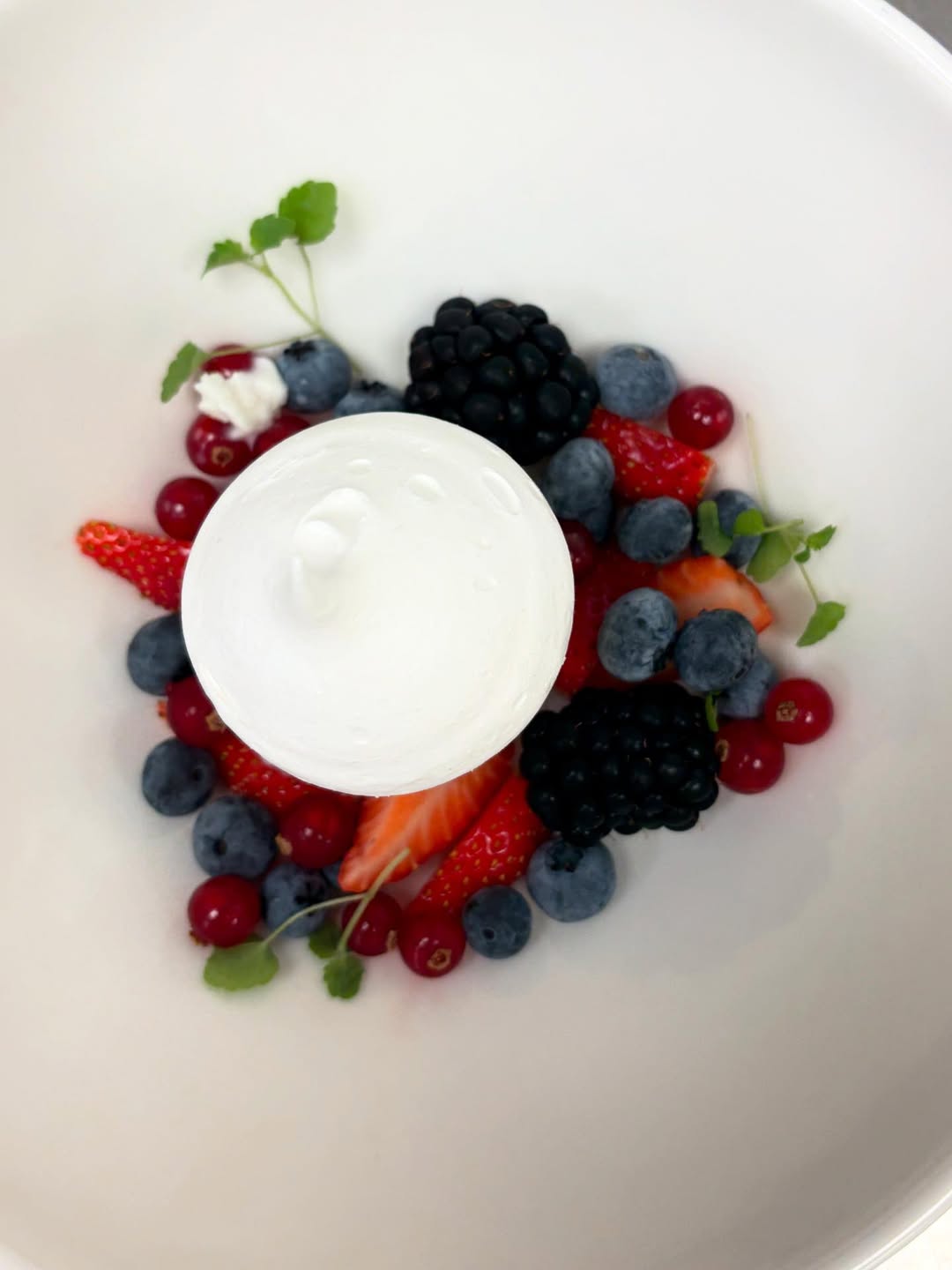Red fruit with astina cress , yoghurt ice cream and merengue @parkinnamsterdamwest @amsterdam.congre