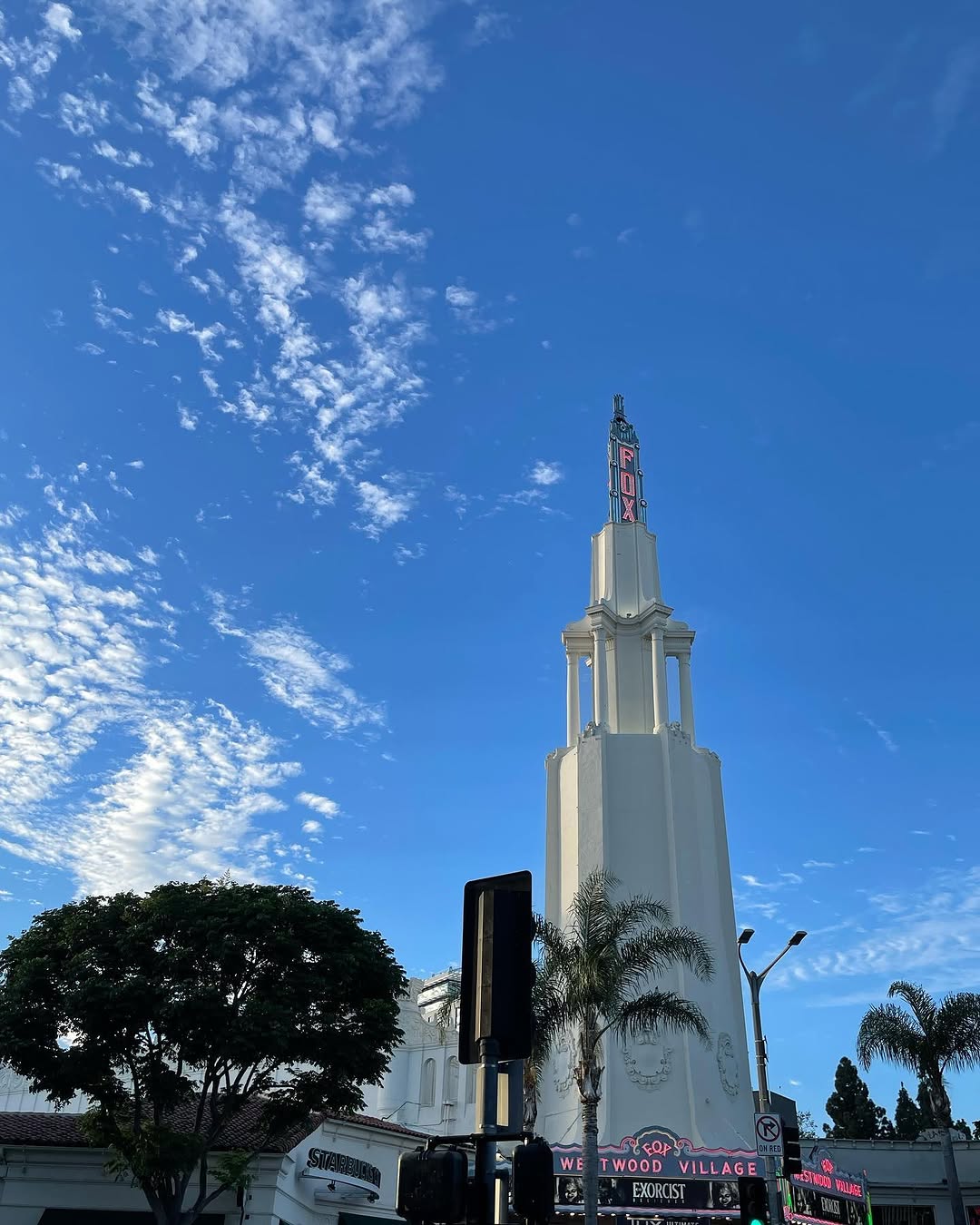 #la여행 #미국여행 #웨스트우드 #westwood #ucla #luskinhotel #griffithobservatory #그리피스천문대 #la야경 #안개낀날 #여행기록  LA에
