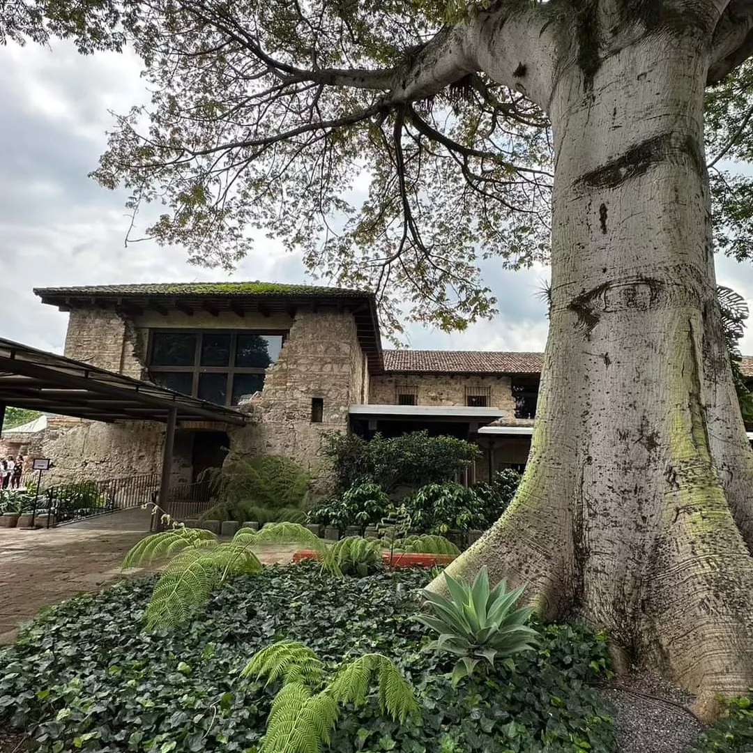 瓜地馬拉安地瓜古城聖多明哥之家飯店（2）

聖多明哥之家飯店(Hotel Museo Spa Casa Santo Domingo)是一間位於中美洲瓜地馬拉安地瓜古城(Antigua Guatemal