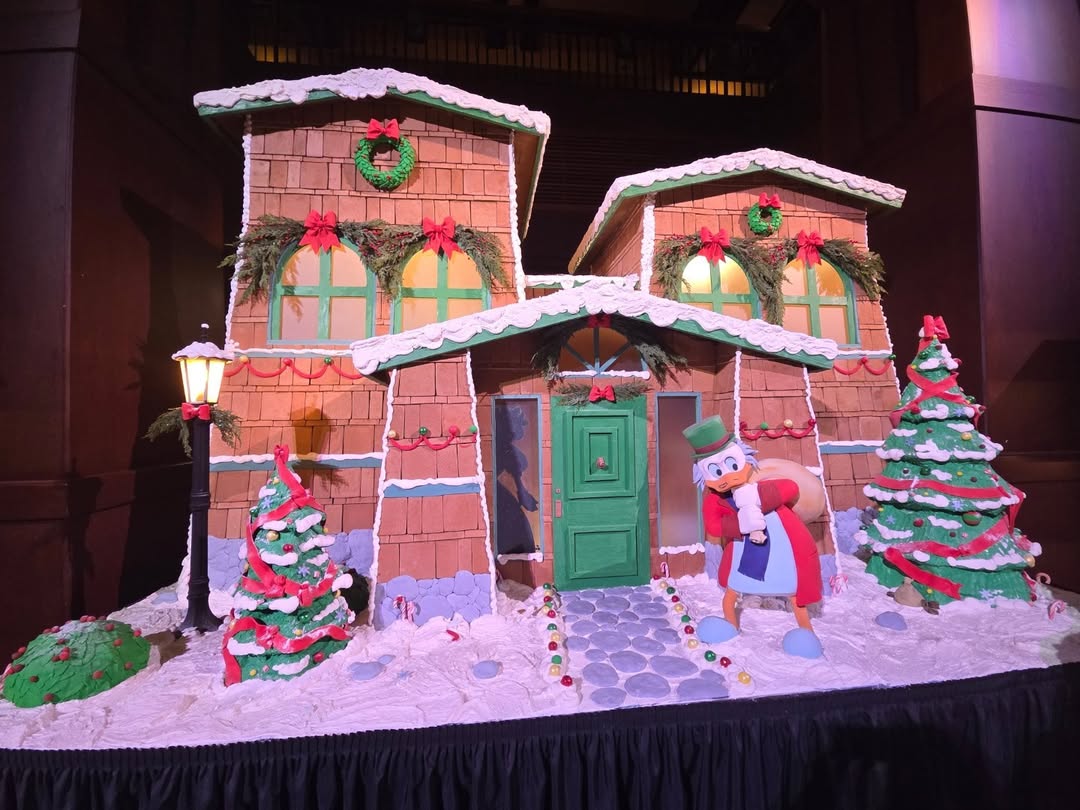 One last Christmas post!

There were a few after Christmas adventures I wanted to share.  There was 