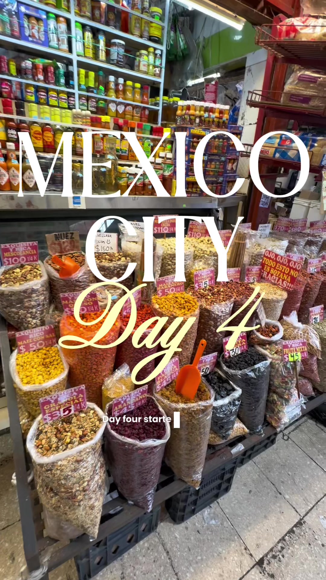 Day 4 Mexico City  🇲🇽 - coyoacan, Frida Khalo museum, floating gardens of Xochimilco 🪷

#mexicotr