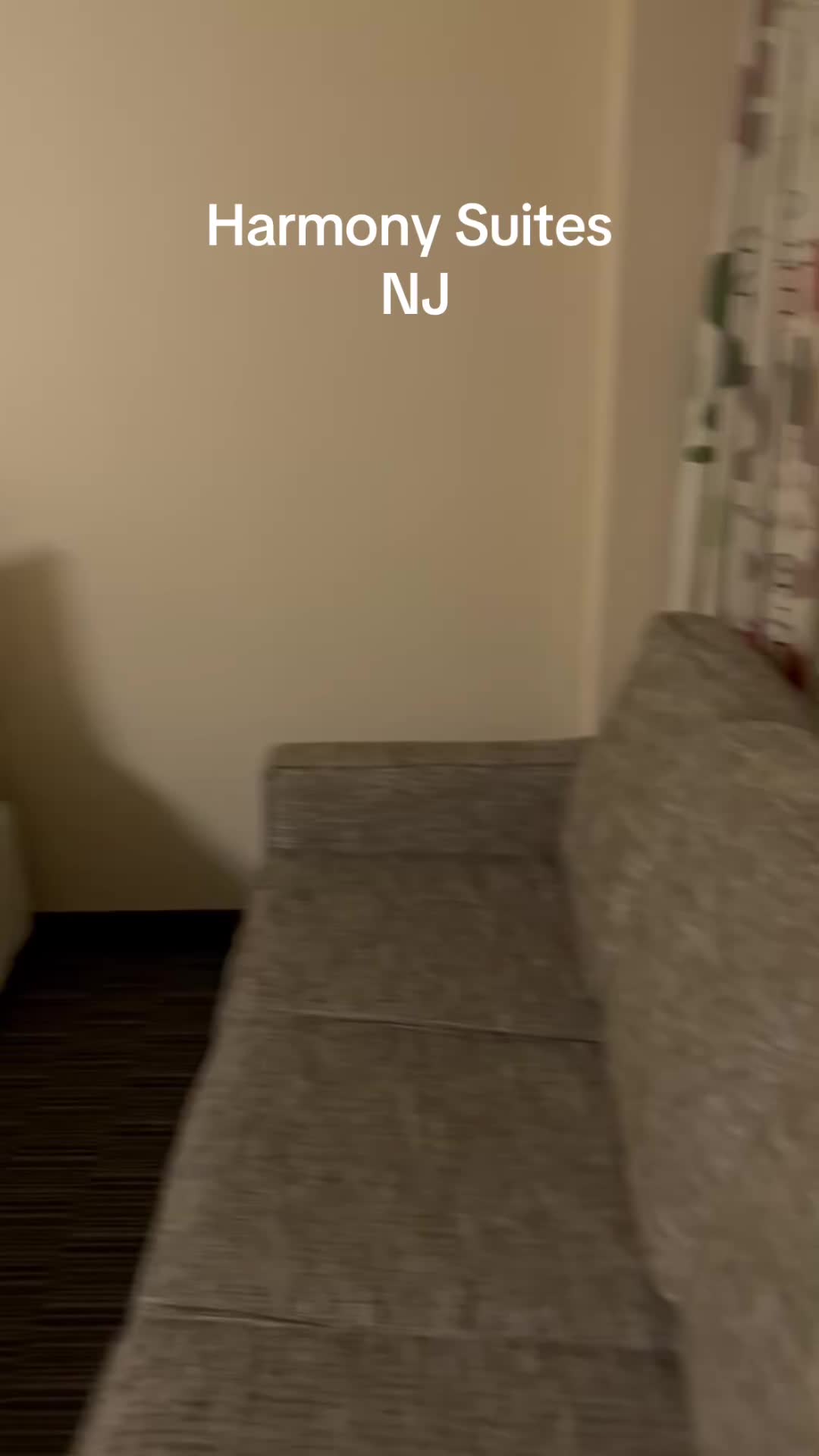 @Harmony Suites #msbrendakaye🦋 #doitnow717🐈‍⬛ #goodnight💫🌹