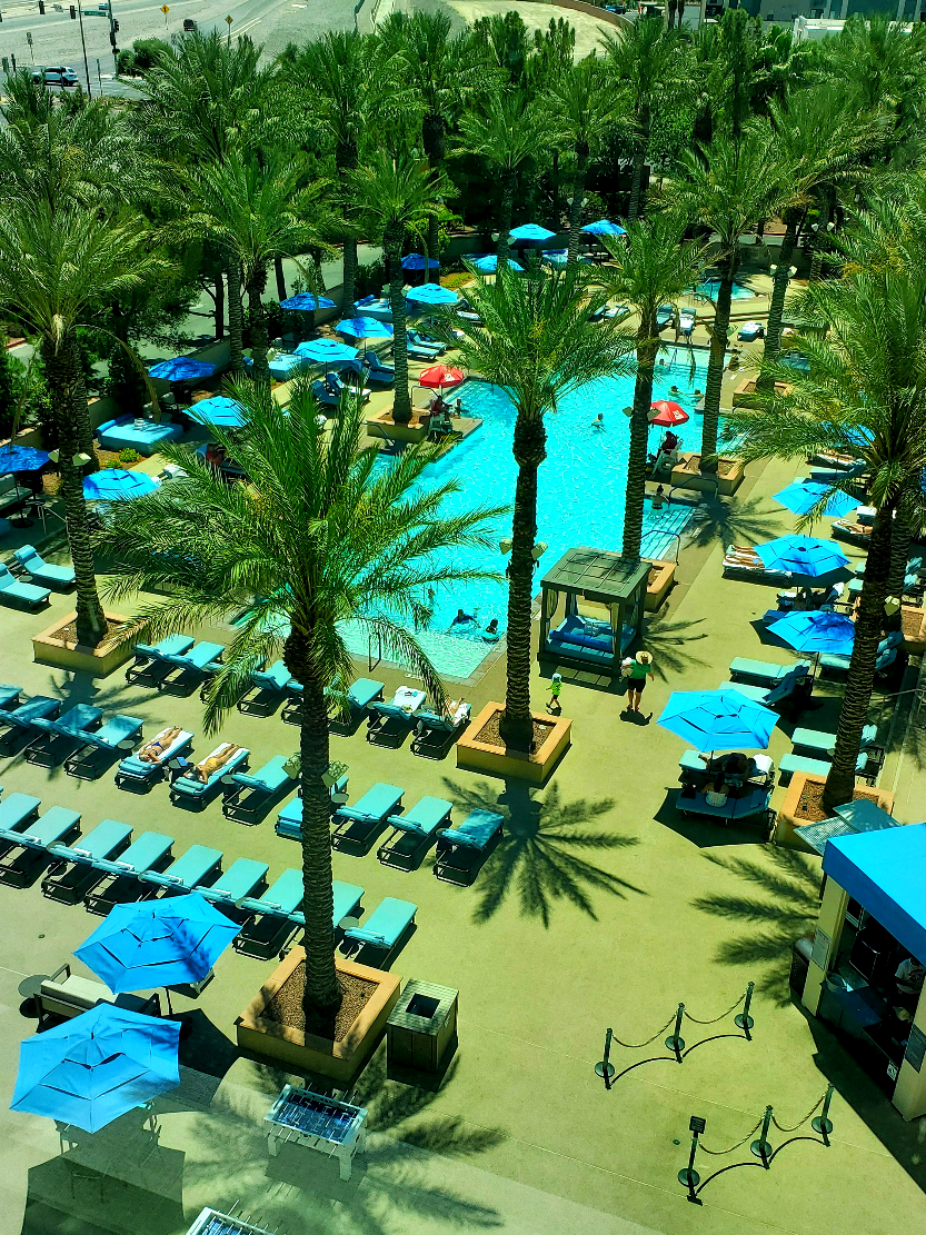 First staycation at Aliante Casino + Hotel + Spa and that pool view did not disappoint 😍🌴 #LasVega