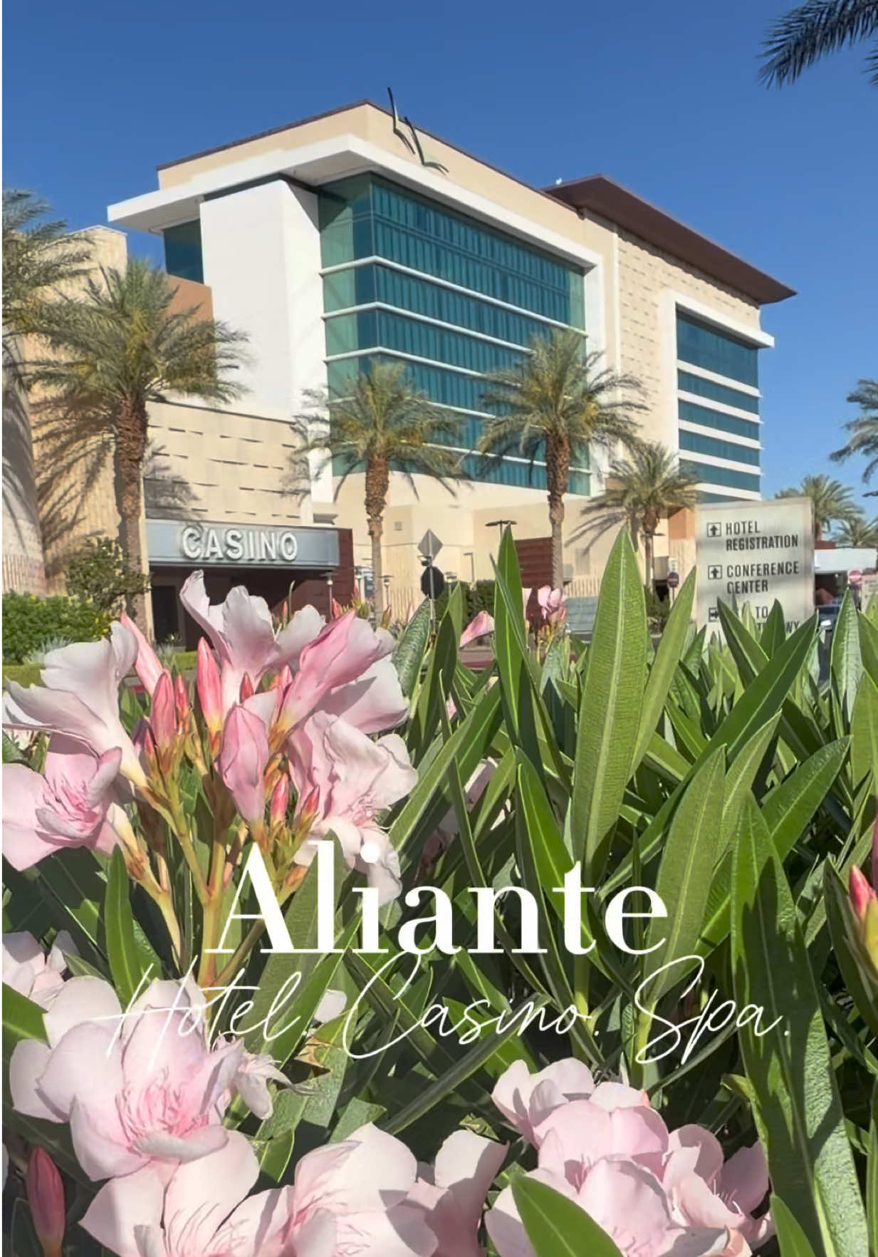 🚨 CLICK HERE FOR DEALS & BOOK TODAY! 🚨

Looking for a Vegas hotel that’s off the Strip but still g