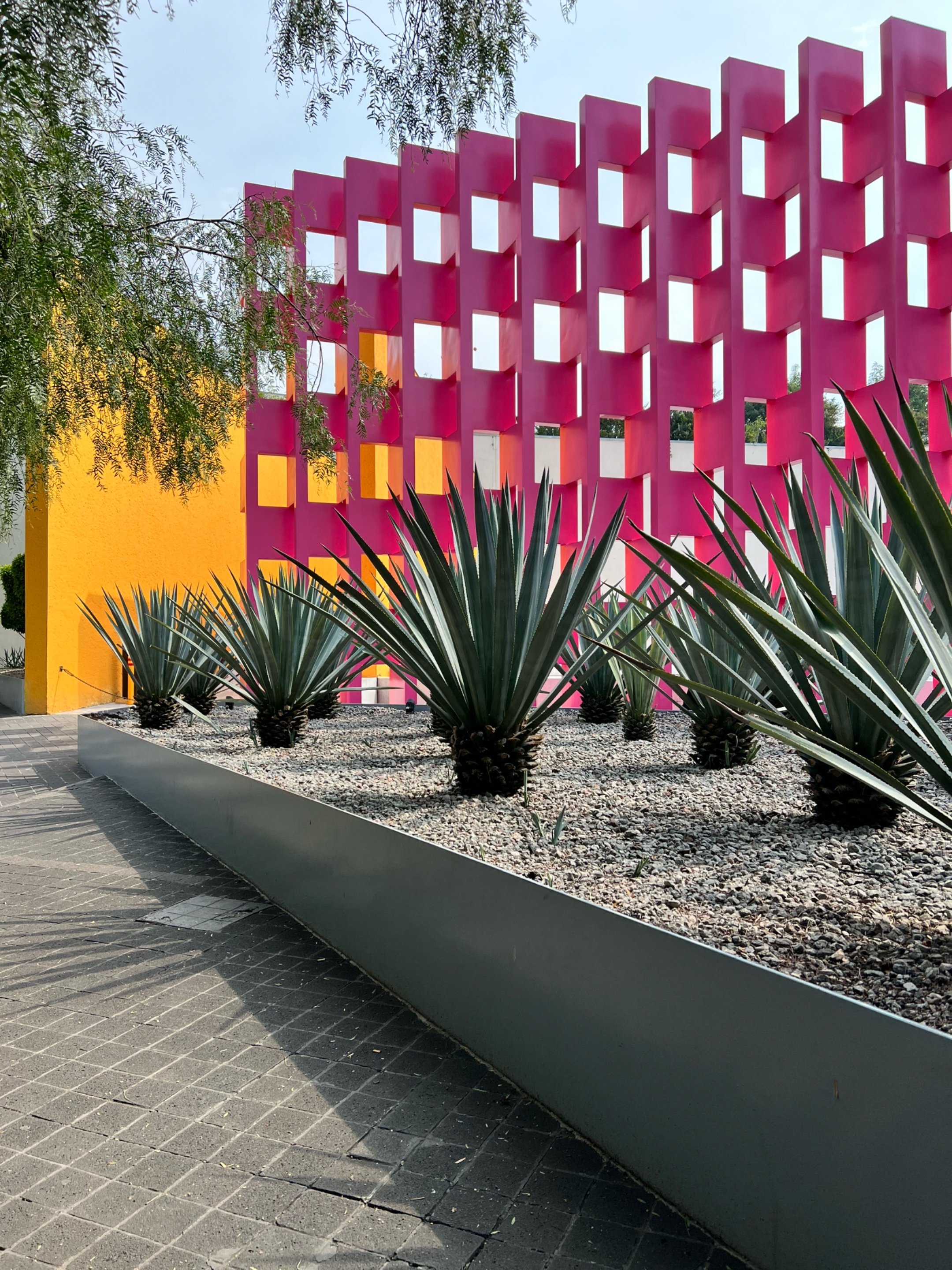 | gasped audibly when I hooped out the uber and witnessed the welcoming courtyard the Hotel Camino R