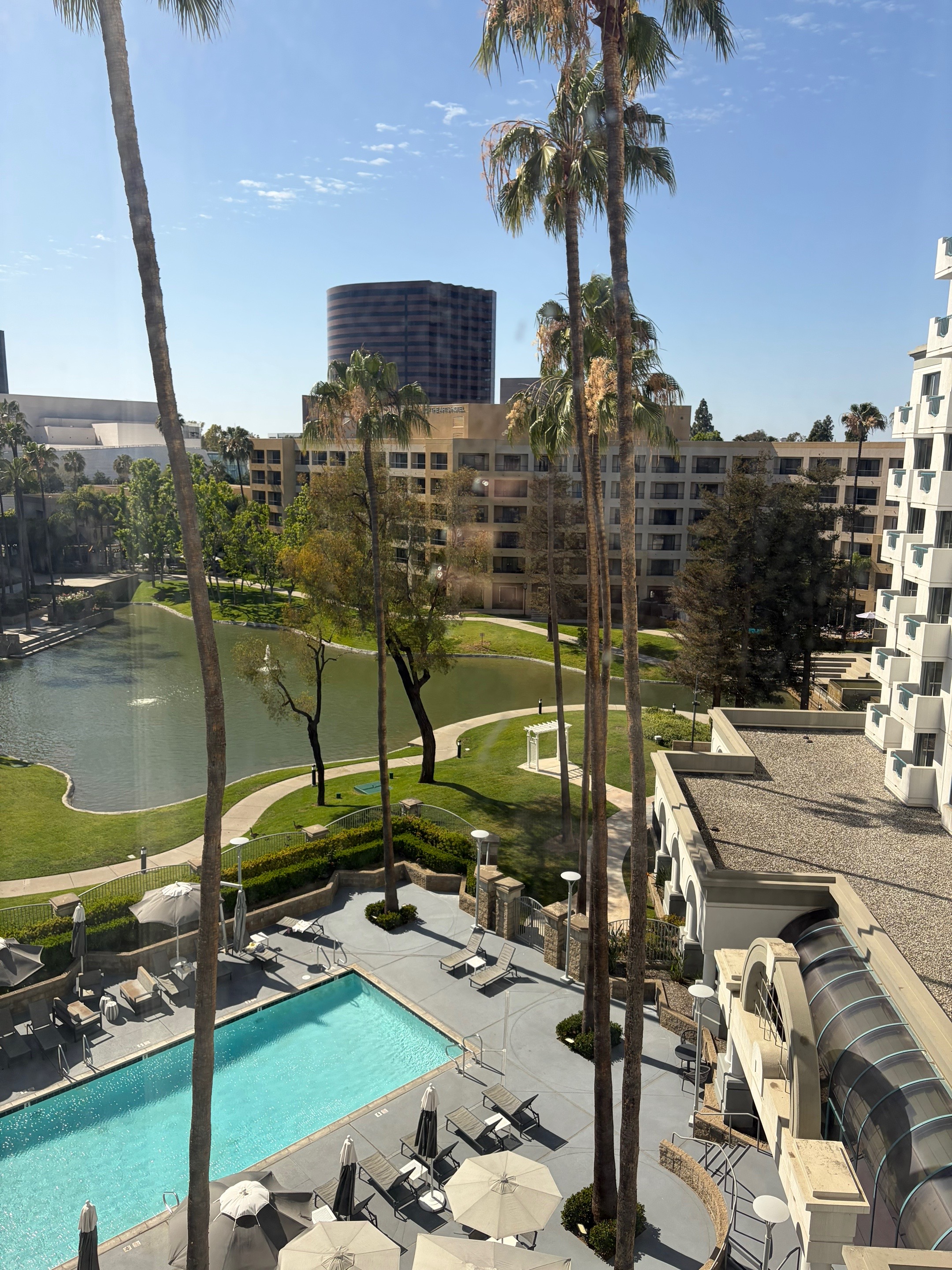 The view from my 'office' window looks pretty good! 🌴

This is the Costa Mesa Marriott, located in 