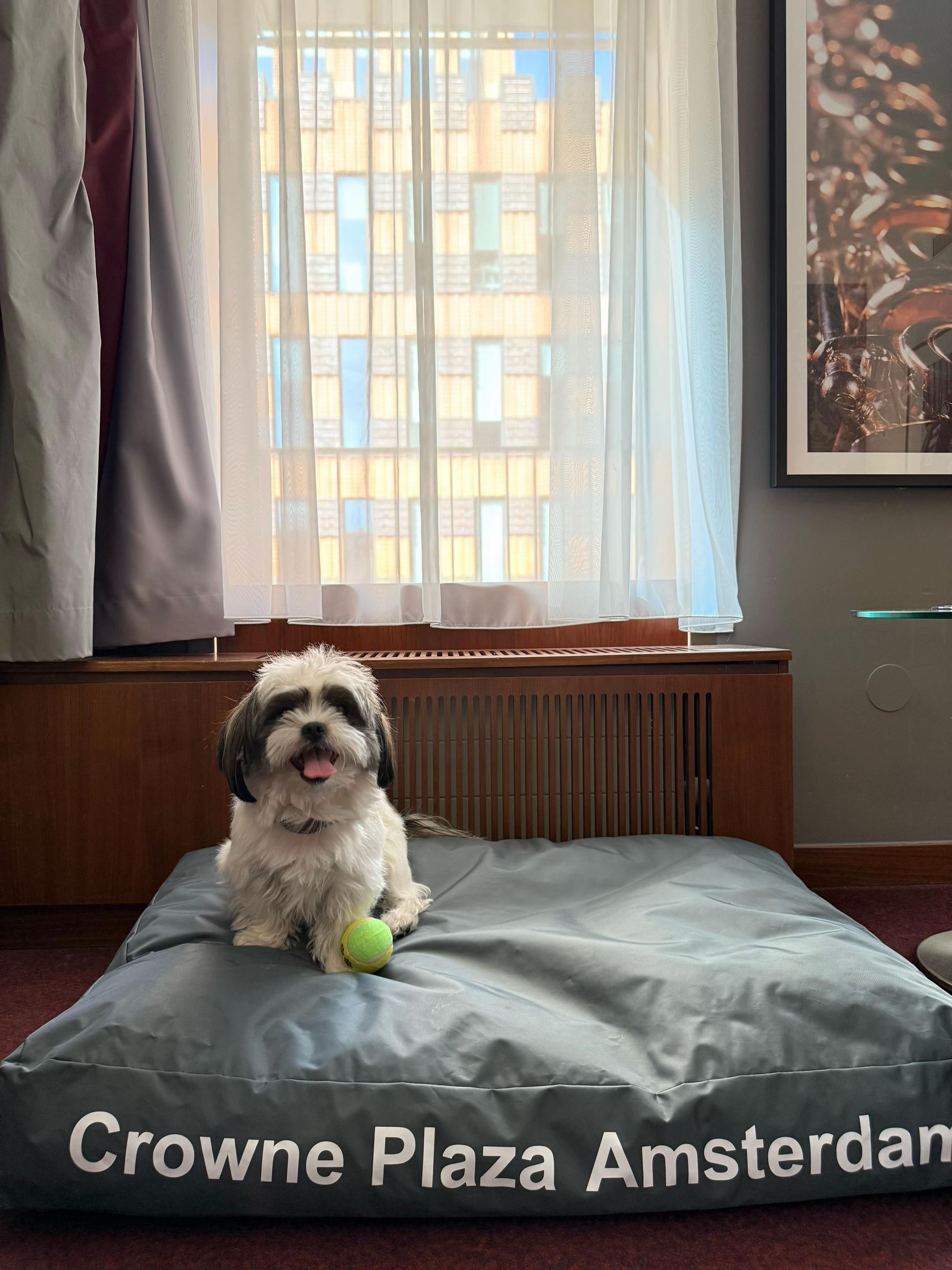 Planning your spring getaway or summer holiday?

We ensure both you and your pet have a comfortable 