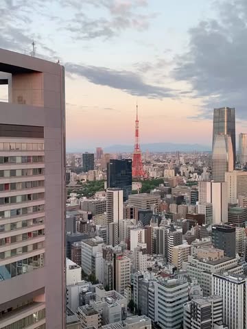 Always love a good hotel room view! And this is what I'd hoped for on my first few nights in Tokyo. 