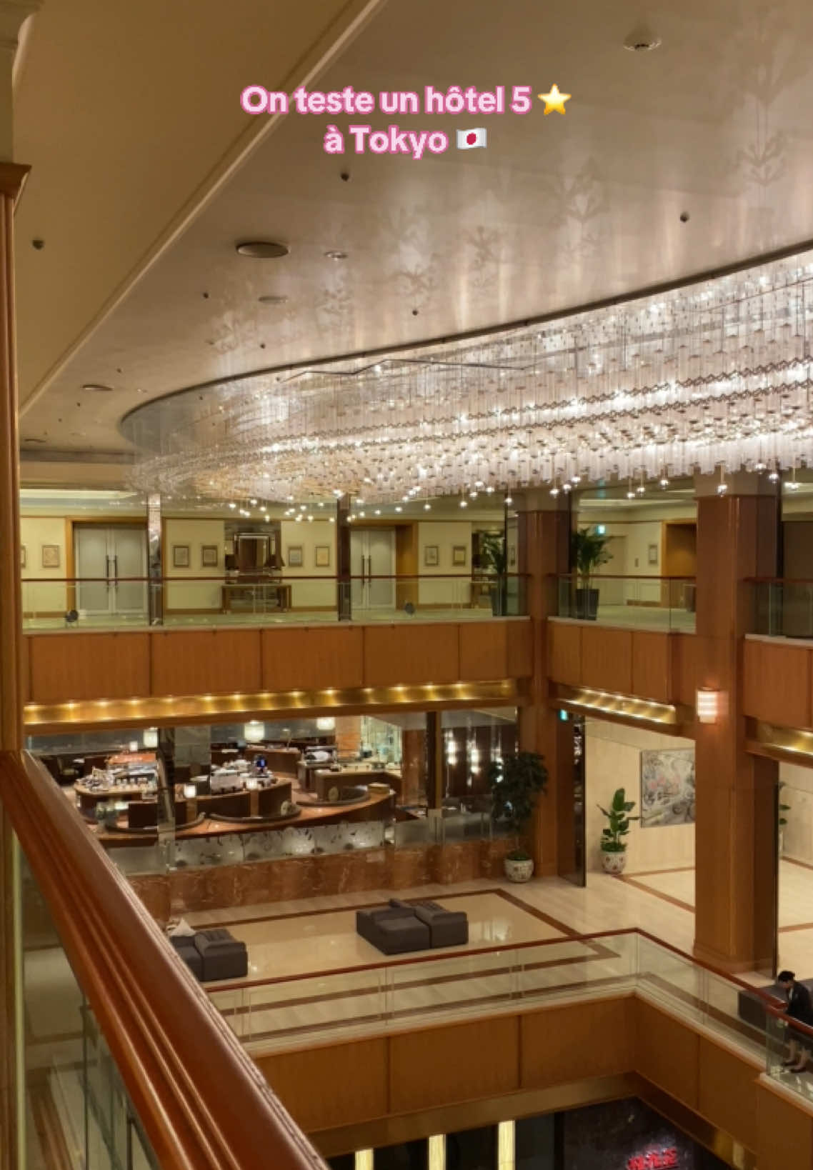 On teste un hôtel 5 ⭐️ à Tokyo 🇯🇵📍 #royalparkhotel #tokyo #japan   #hoteltokyo #tokyotravel #luxu